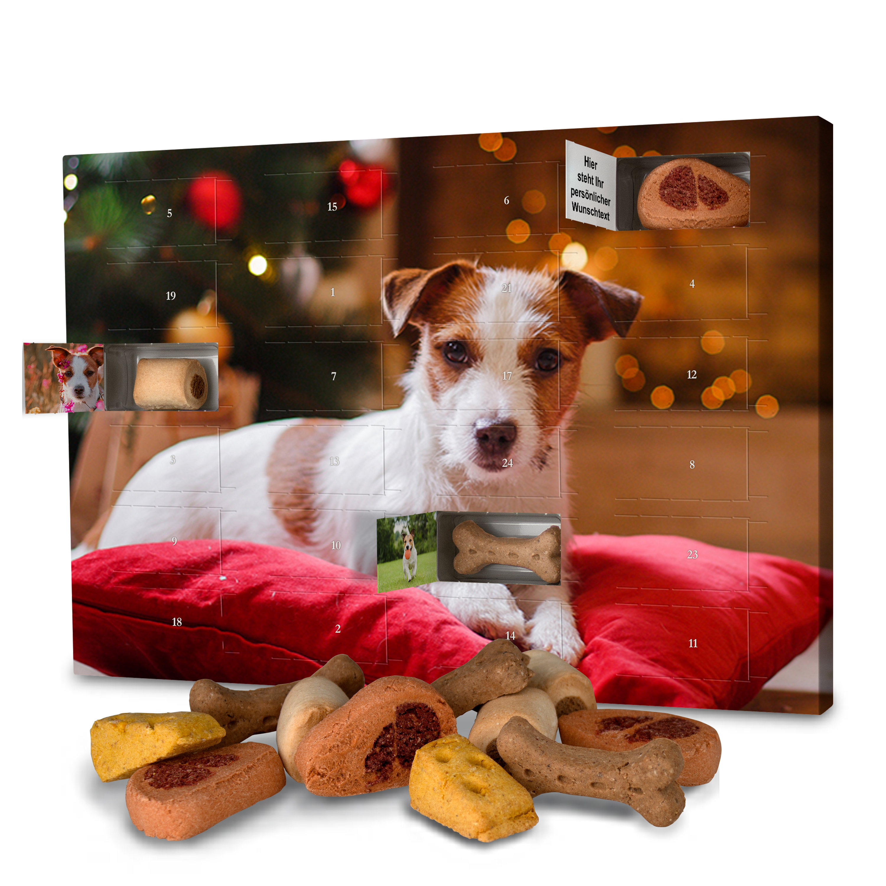 Hunde-Adventskalender