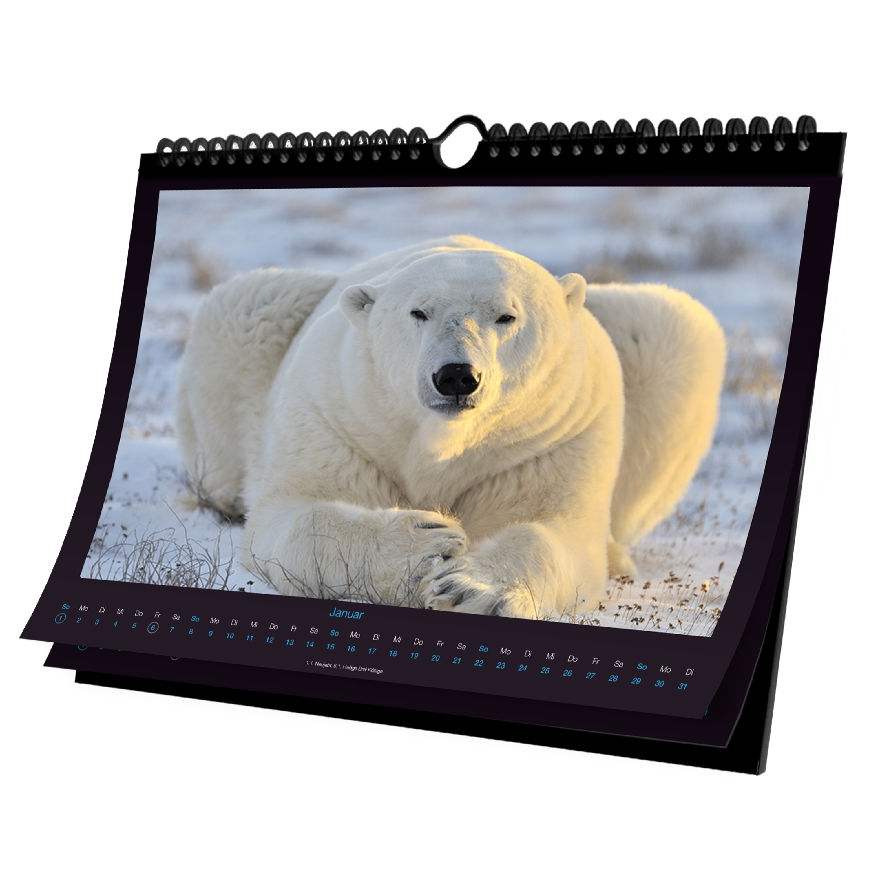 Wandkalender "Eisbären"