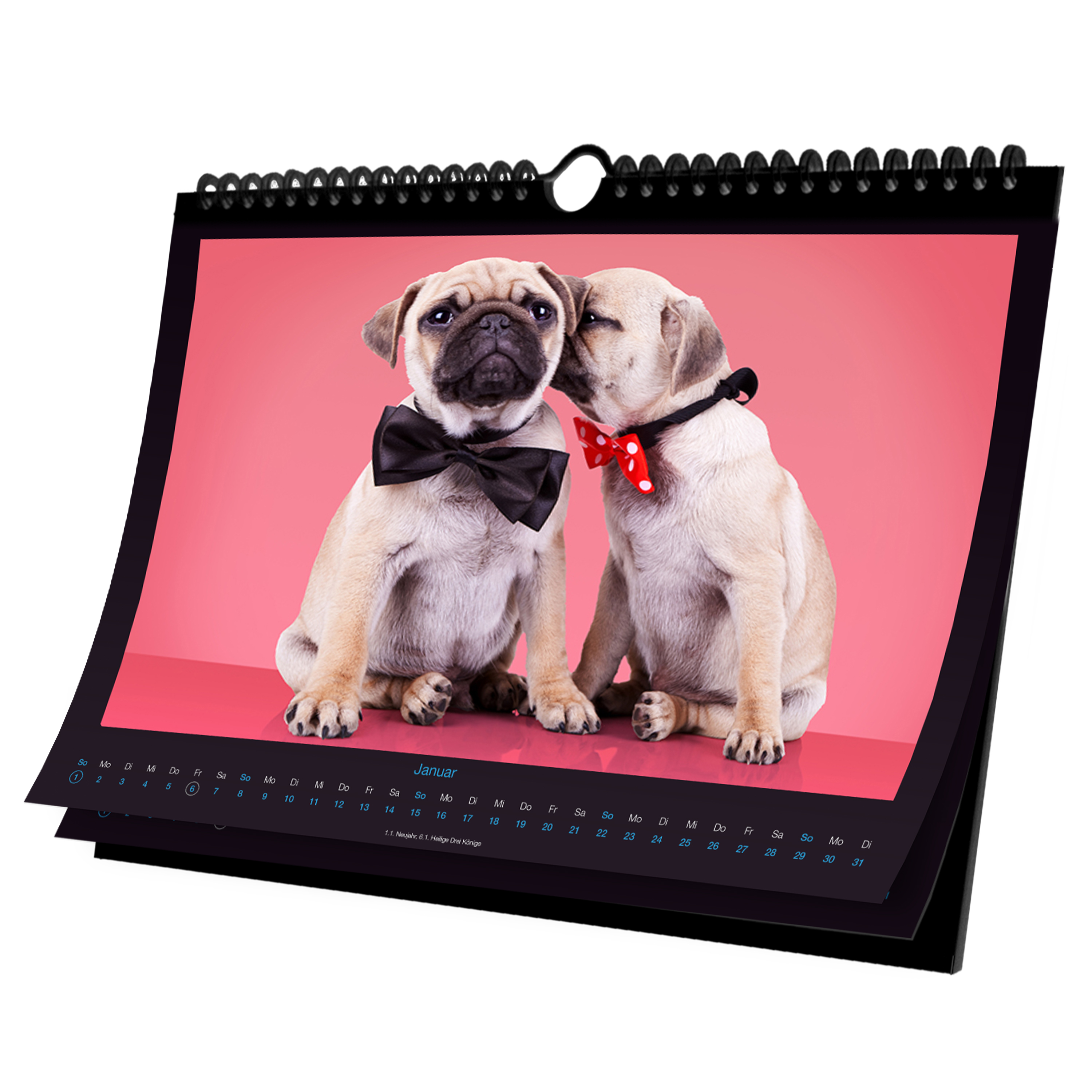 Wandkalender "Mops"