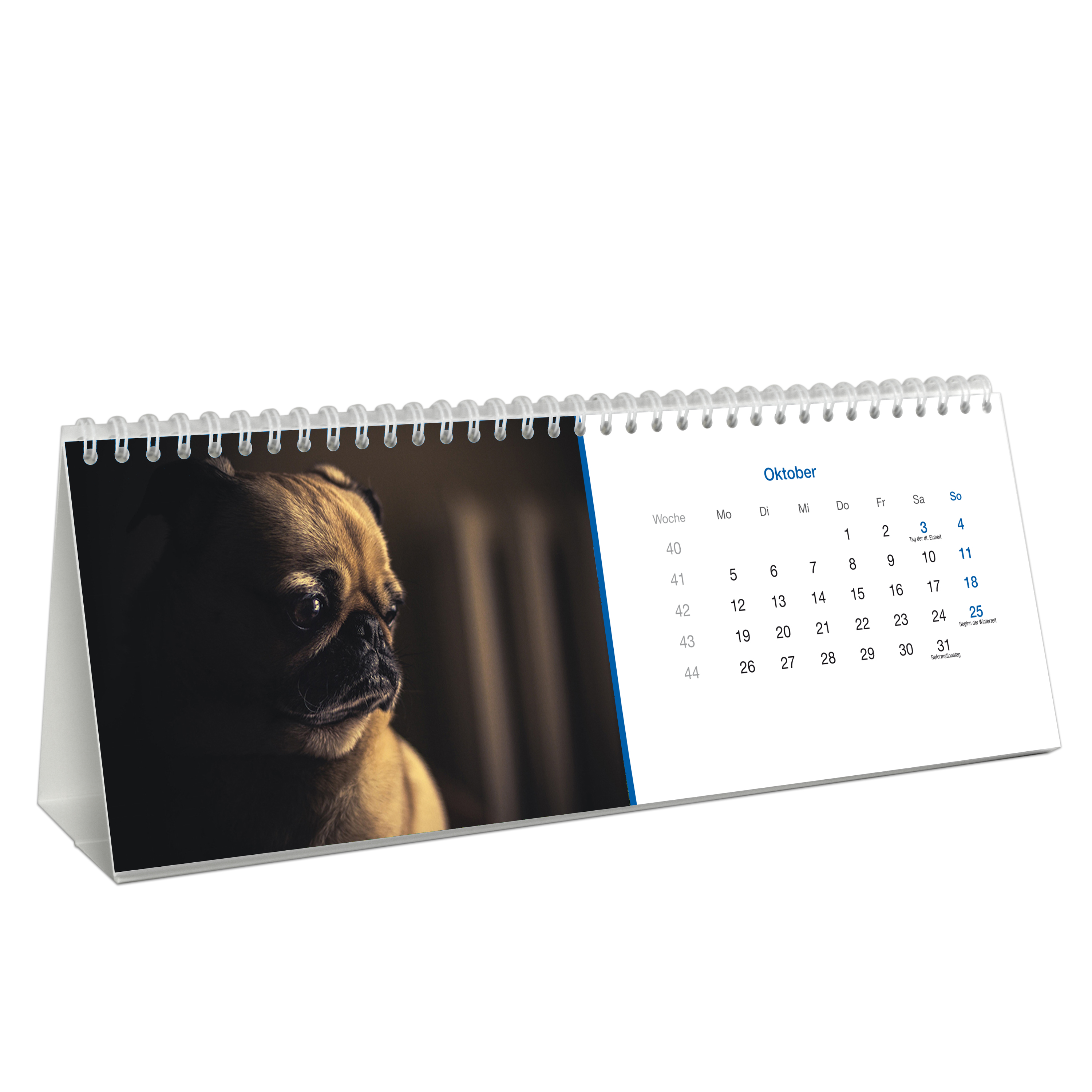 Tischkalender "Mops"