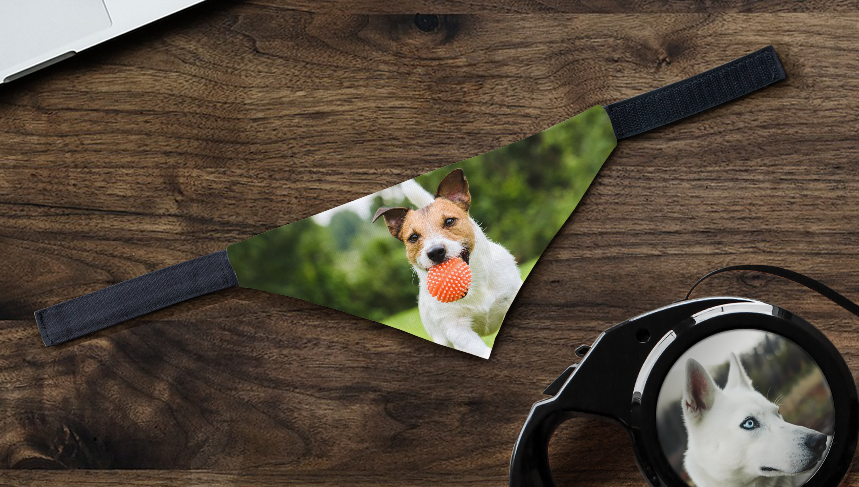 Hundehalstuch mit Foto