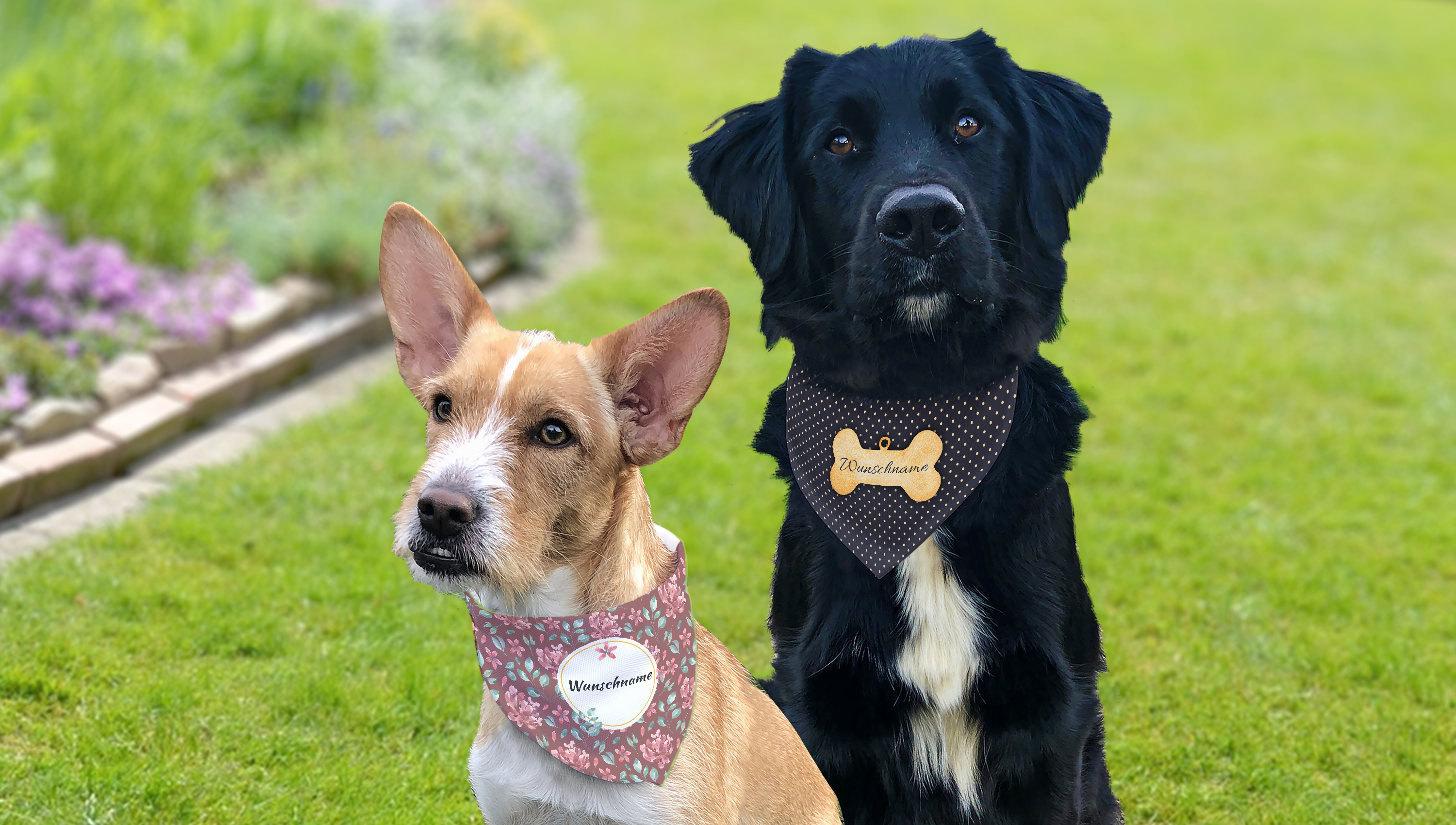 Hundehalstuch mit Wunsch-Namen & Text