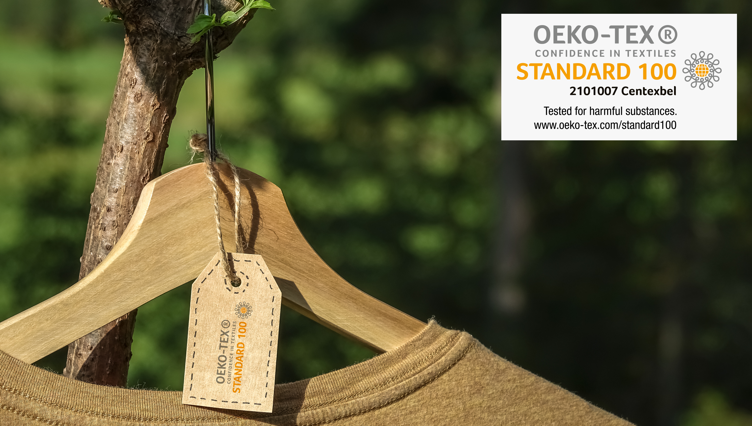 Damenshirts selber gestalten in hervorragender Material- und Druckqualität