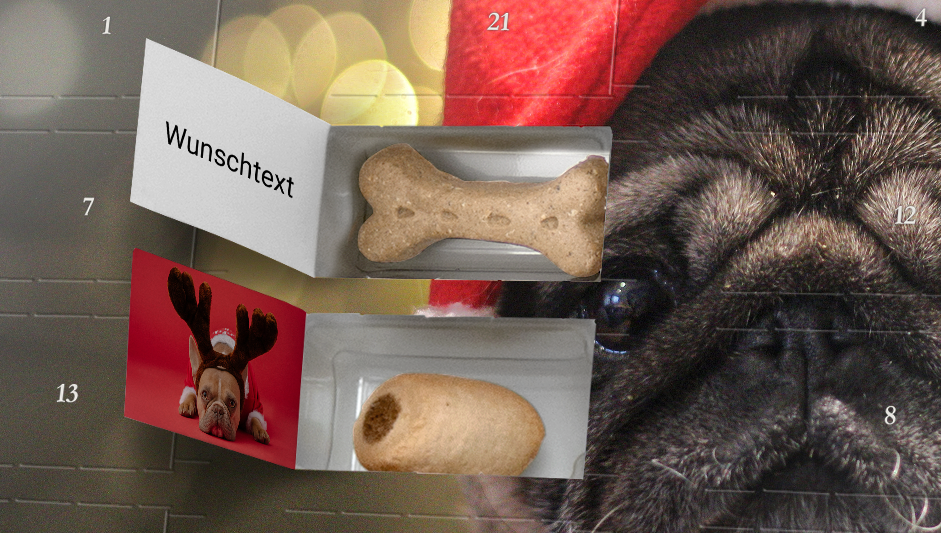 Foto-Adventskalender für Hunde: Adventskalender mit Hundesnacks