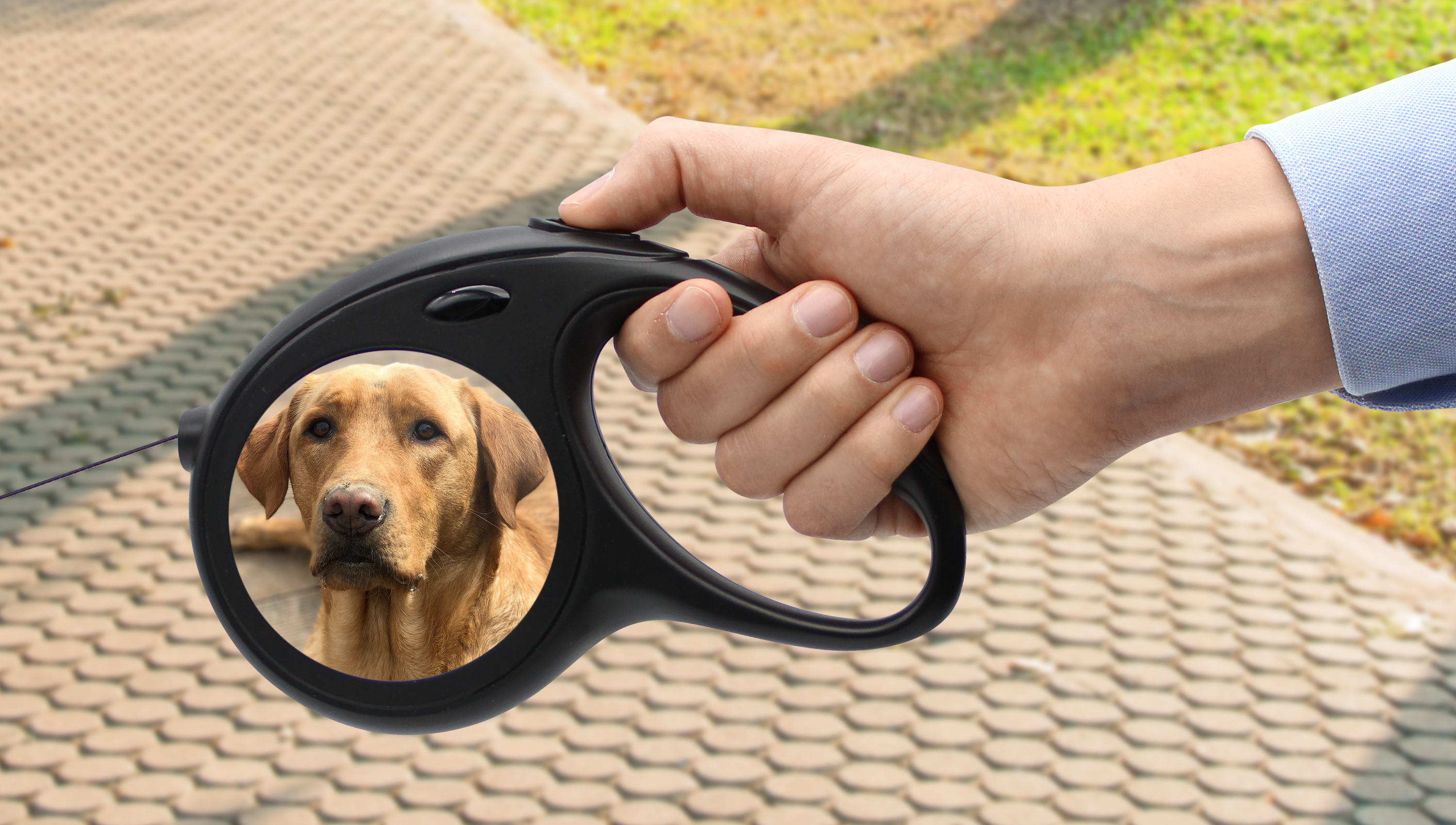 Personalisierte Tiergeschenke mit eigenem Bild bedrucken lassen