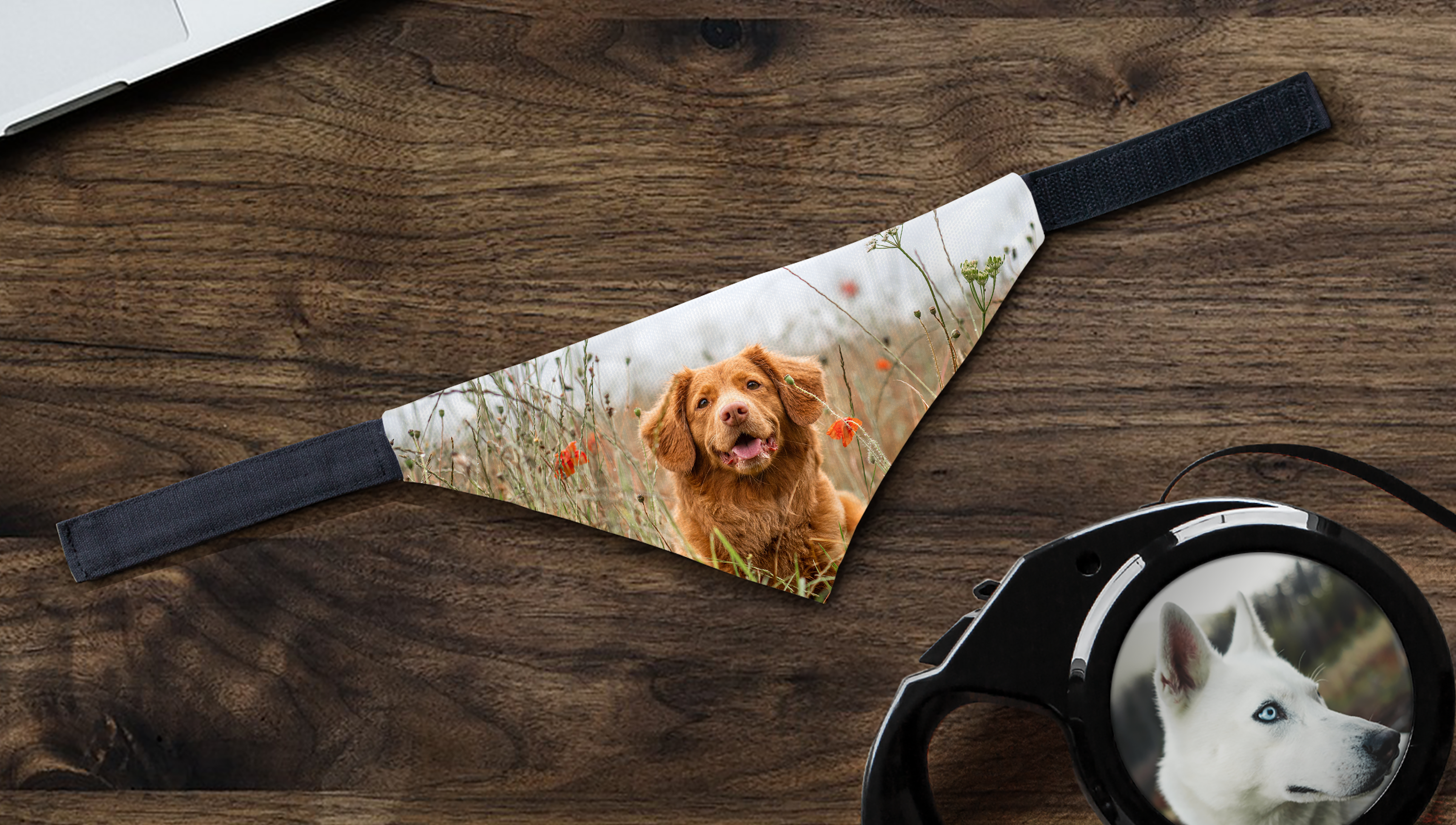 Einzigartige Tiergeschenke mit Foto online gestalten und bedrucken