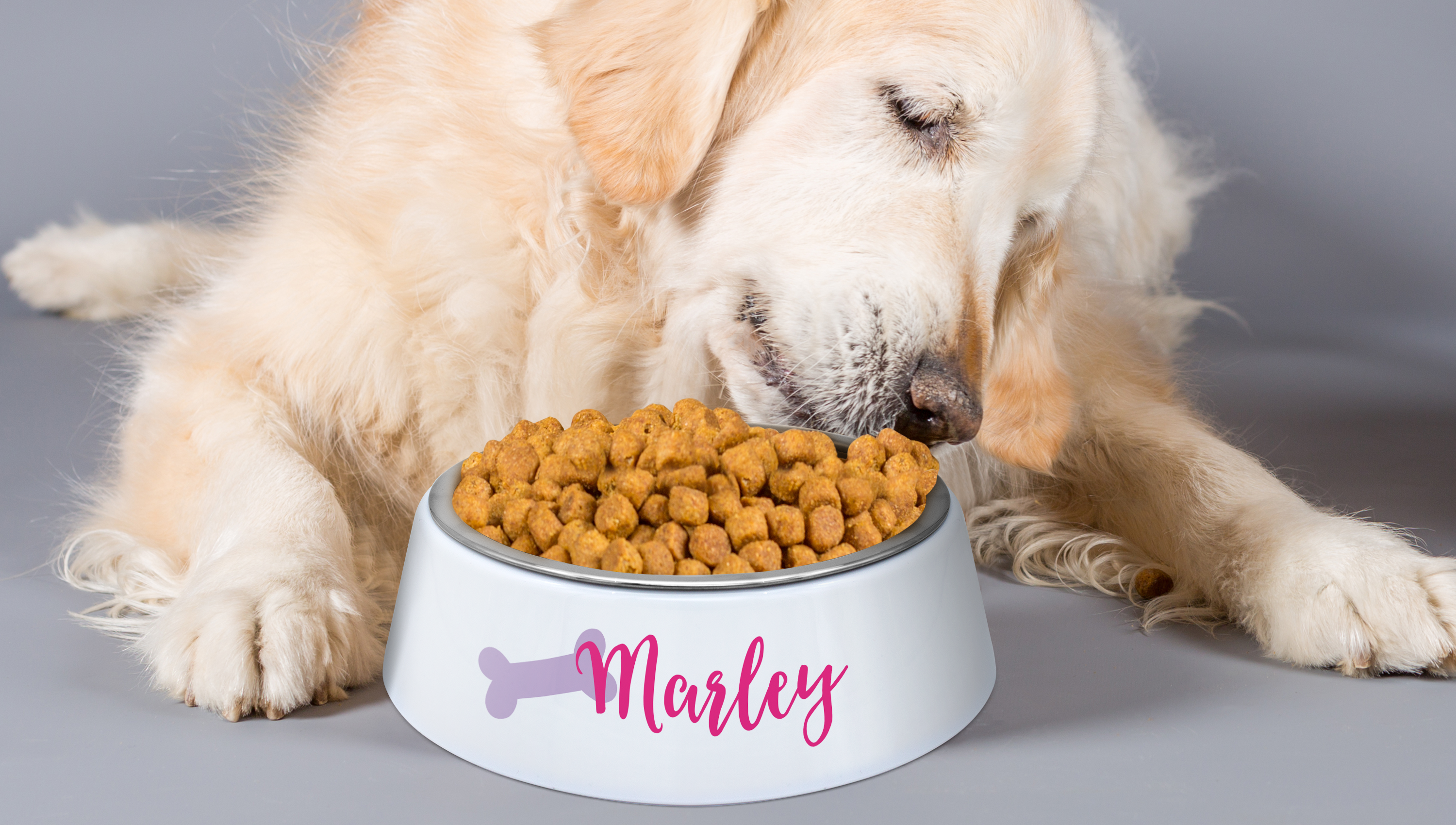 Hundenapf mit eigenem Foto oder Namen