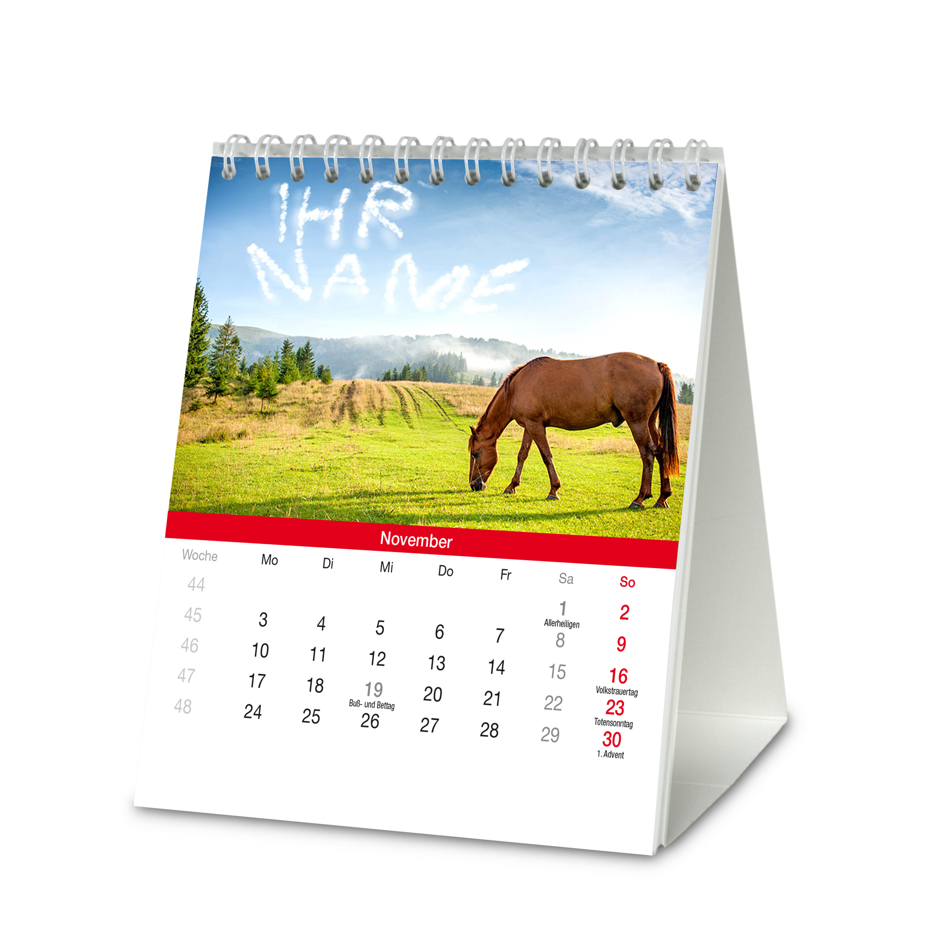 Tischkalender "Pferde"