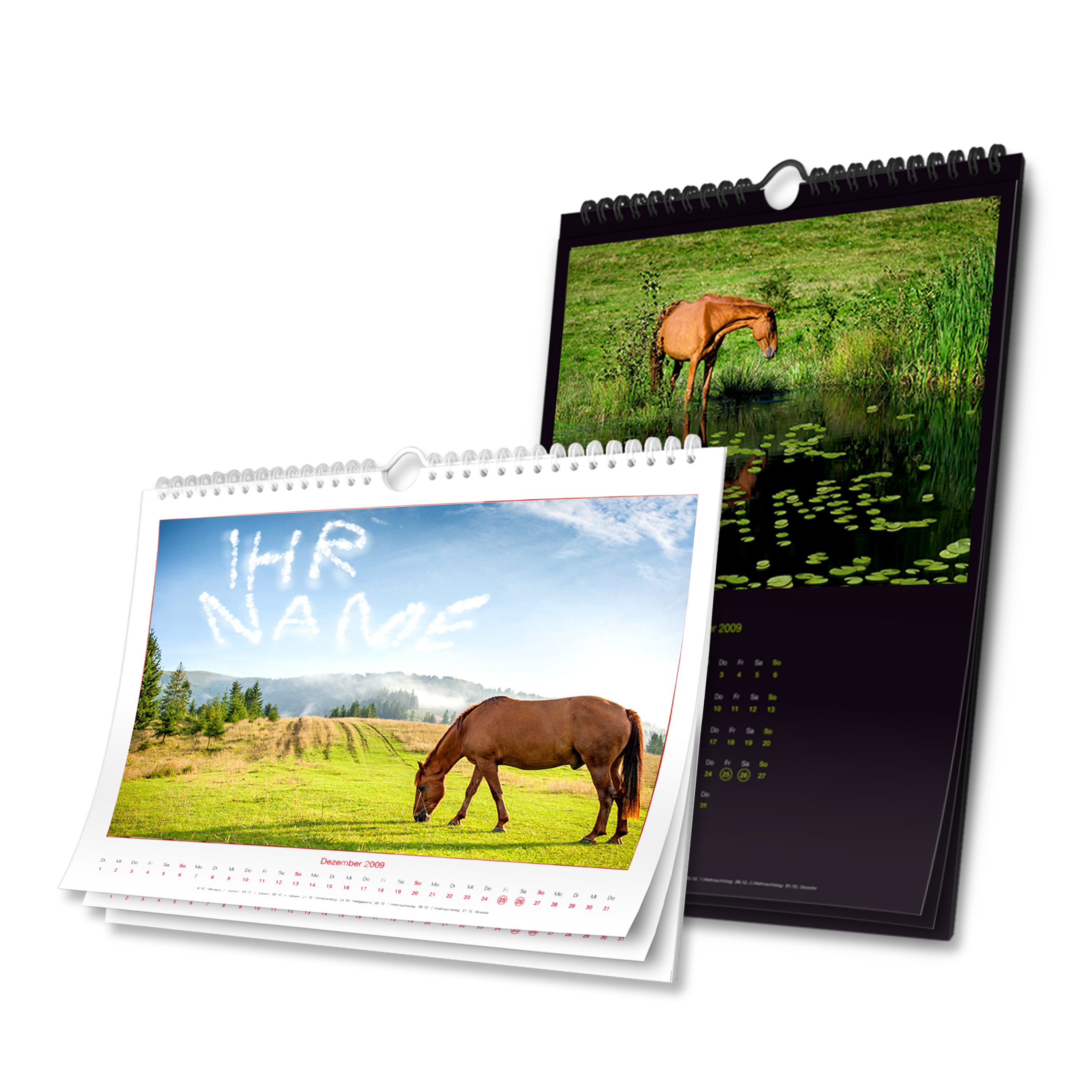 Wandkalender "Pferde"