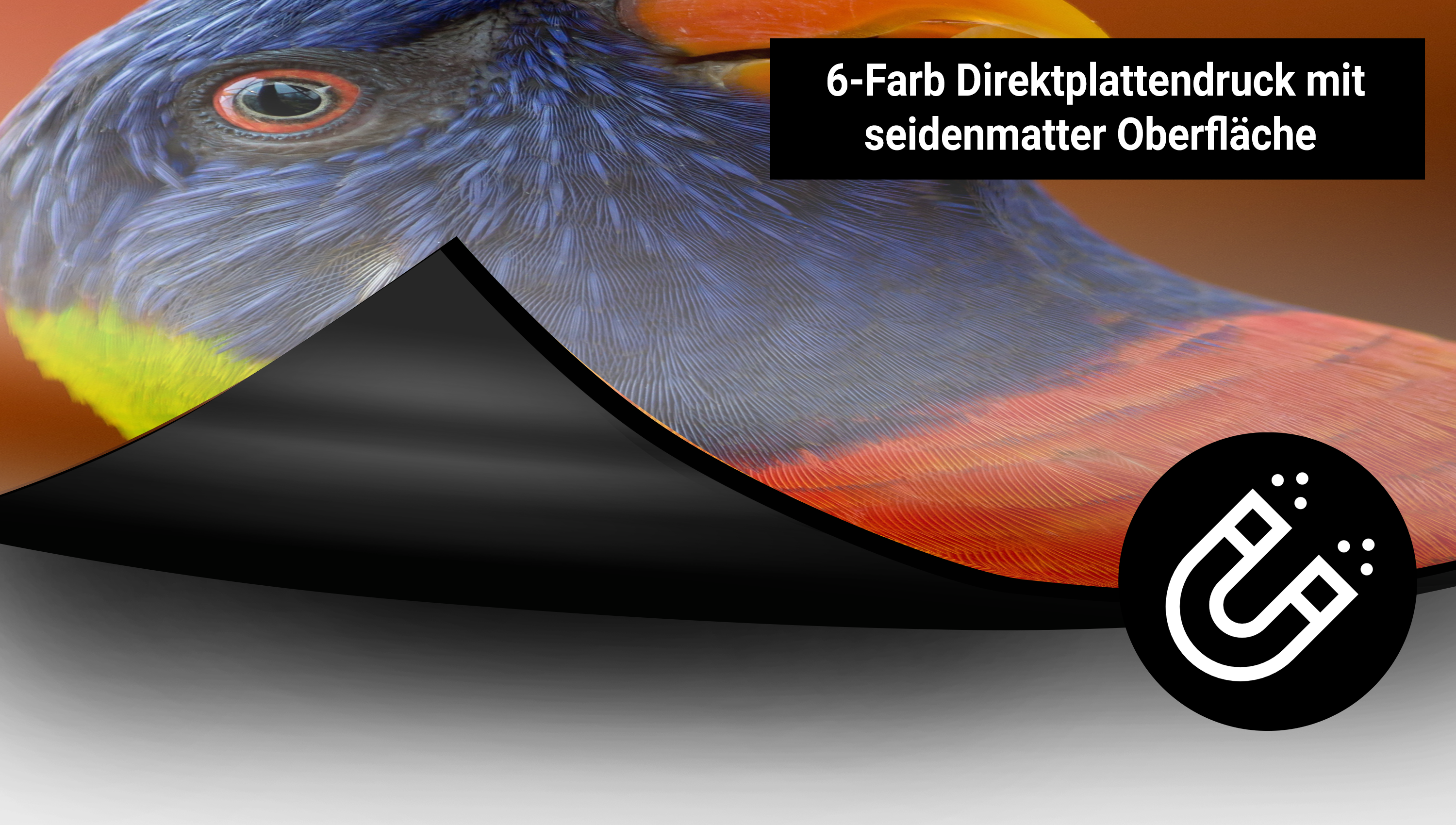 Warum ein Magnetschild drucken lassen?
