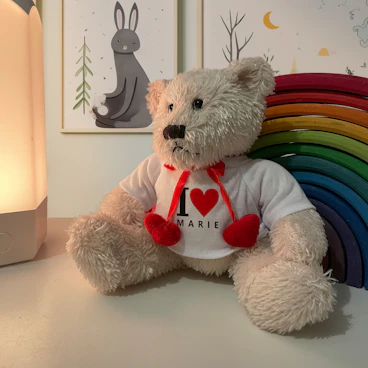 Teddy mit Herz