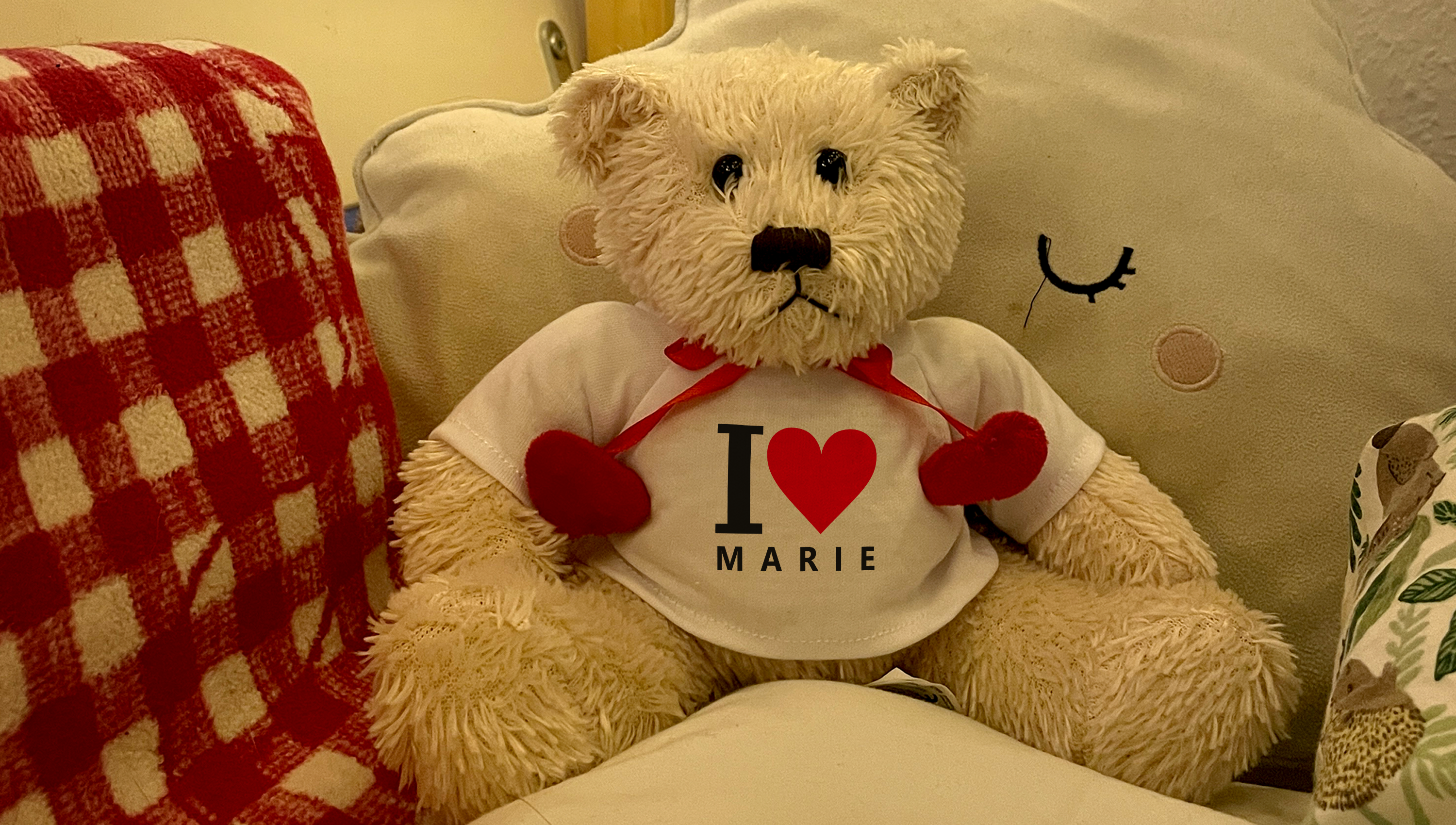 Stoffteddy mit Namen oder mit Bild bedrucken lassen
