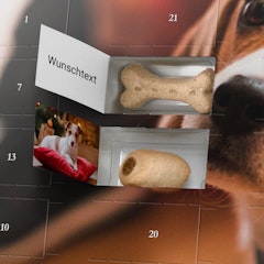 Hunde-Adventskalender