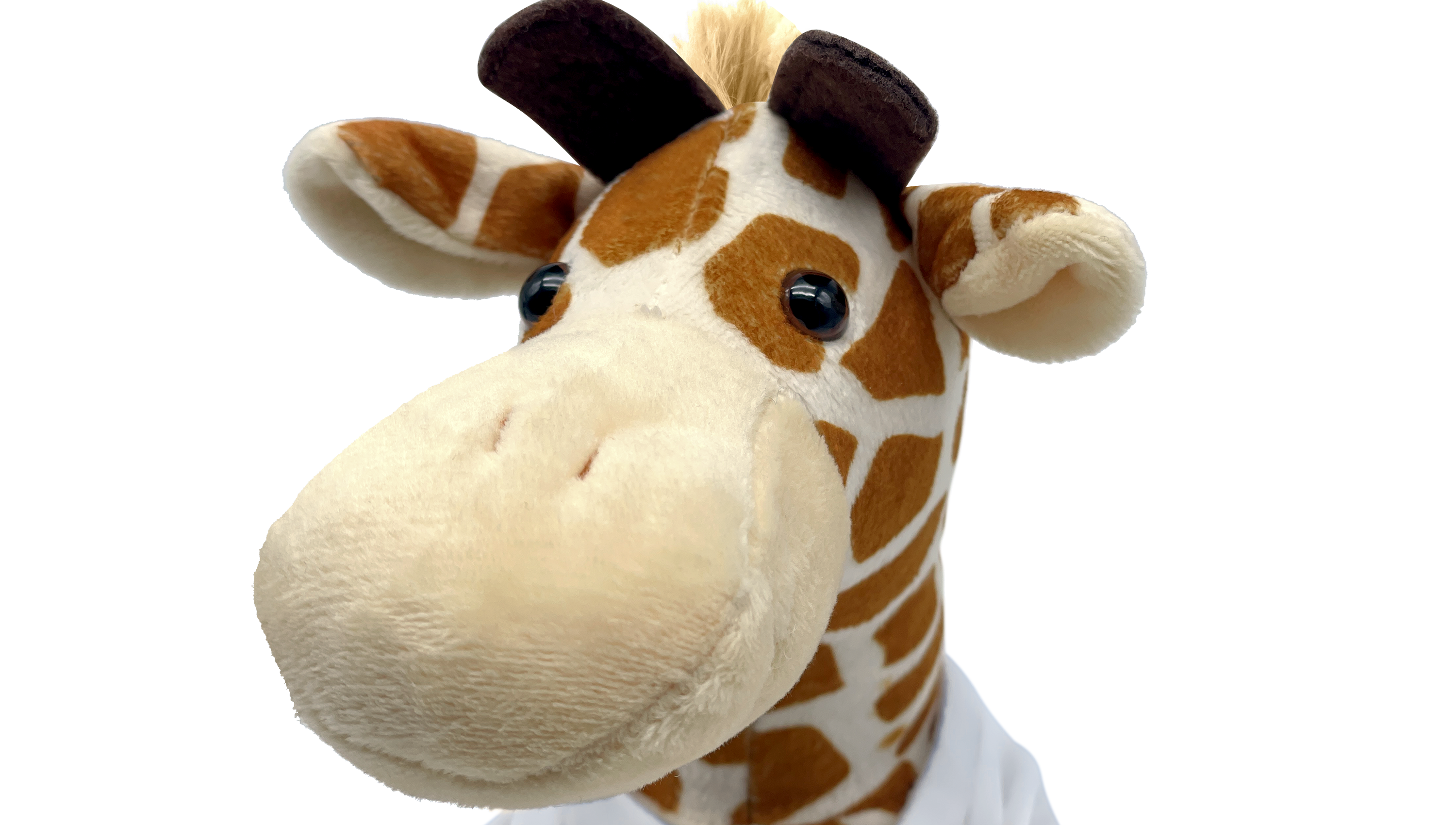 Stofftier Giraffe mit Namen, Foto oder Wunschtext gestalten