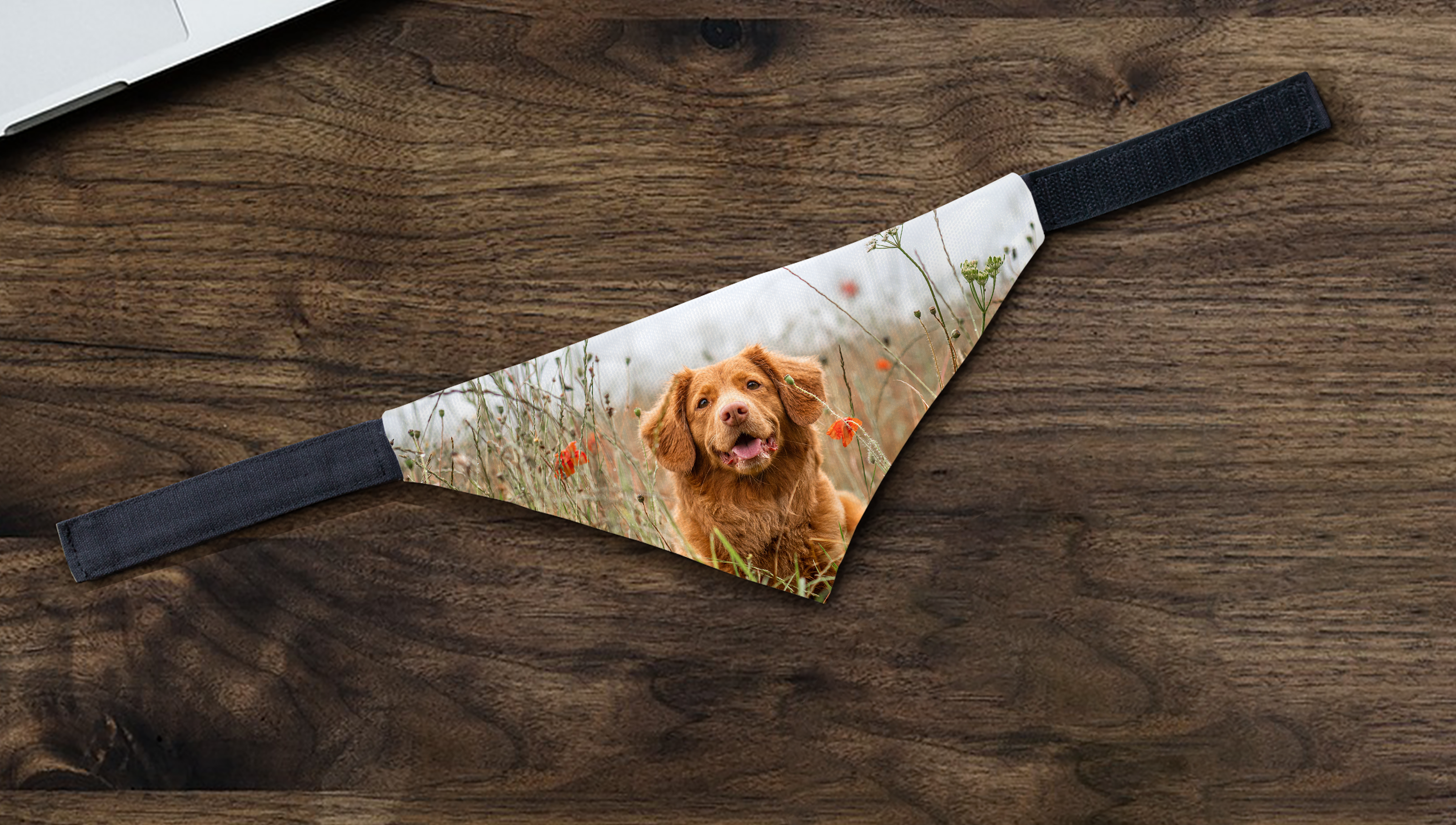 Einzigartige Tiergeschenke mit Foto online gestalten & bedrucken