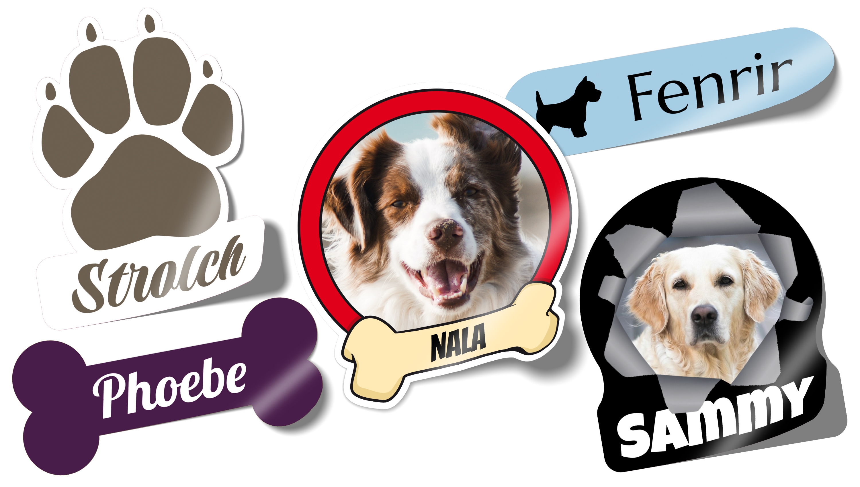 Autoaufkleber mit eigenem Hund selbst gestalten