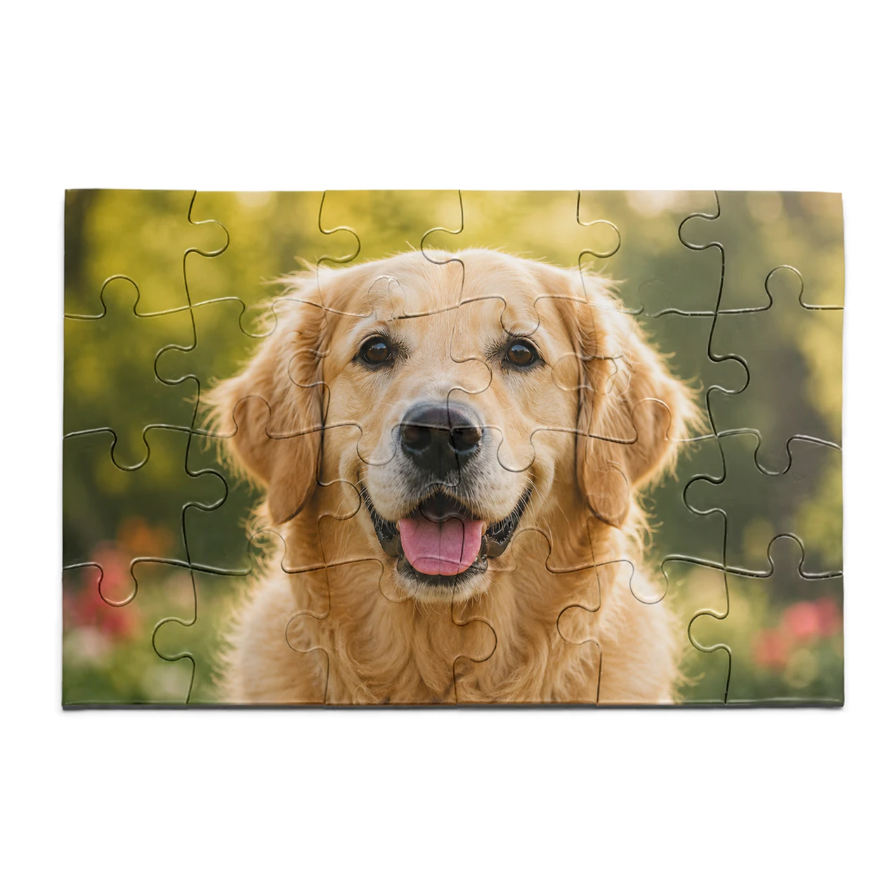 Puzzle 24 Teile