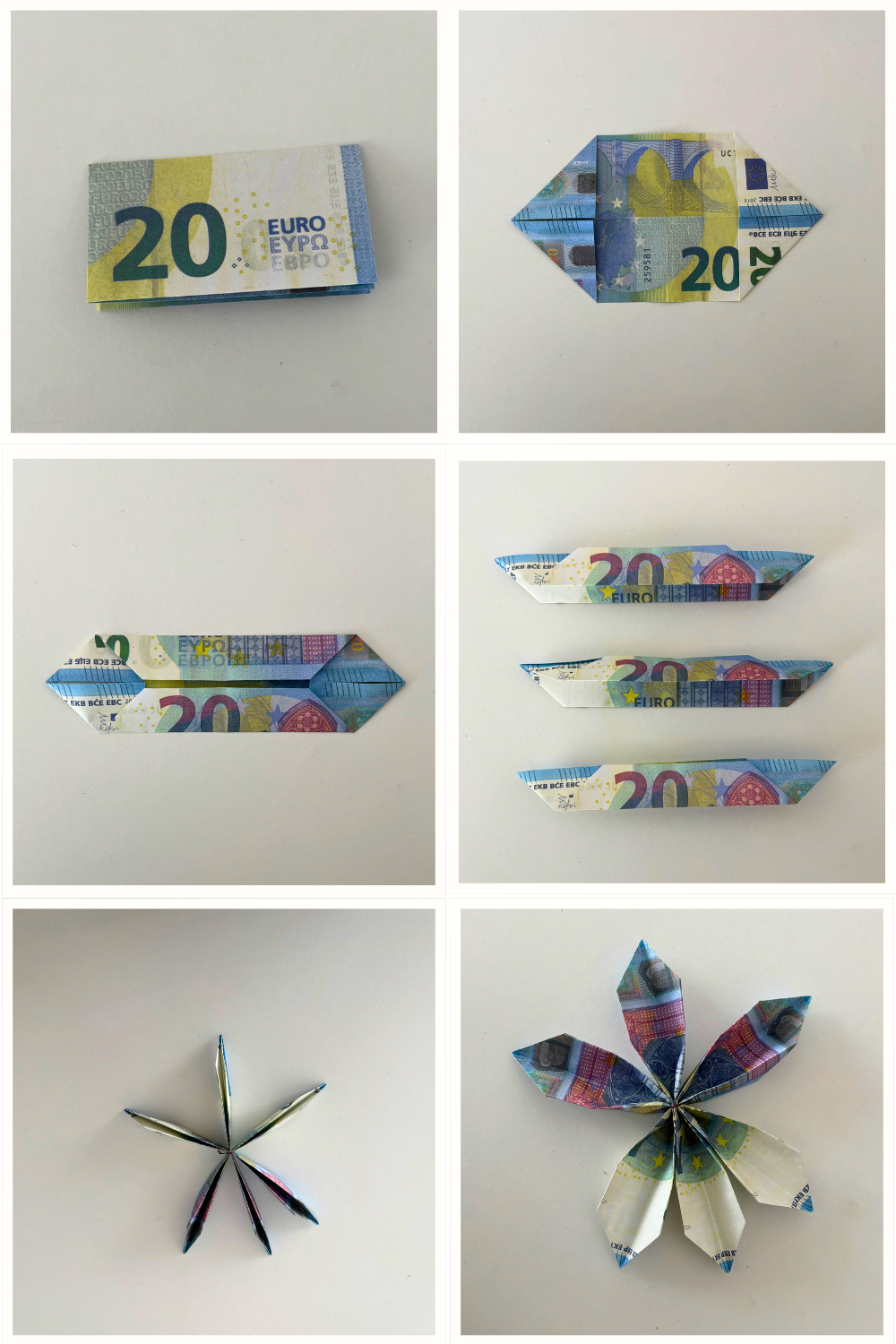 Geld falten Blume