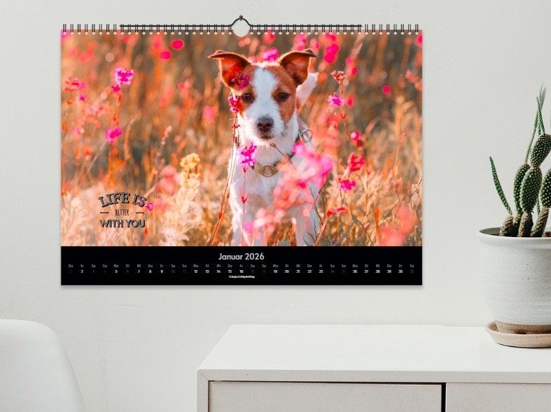Kalender mit Haustier-Fotos