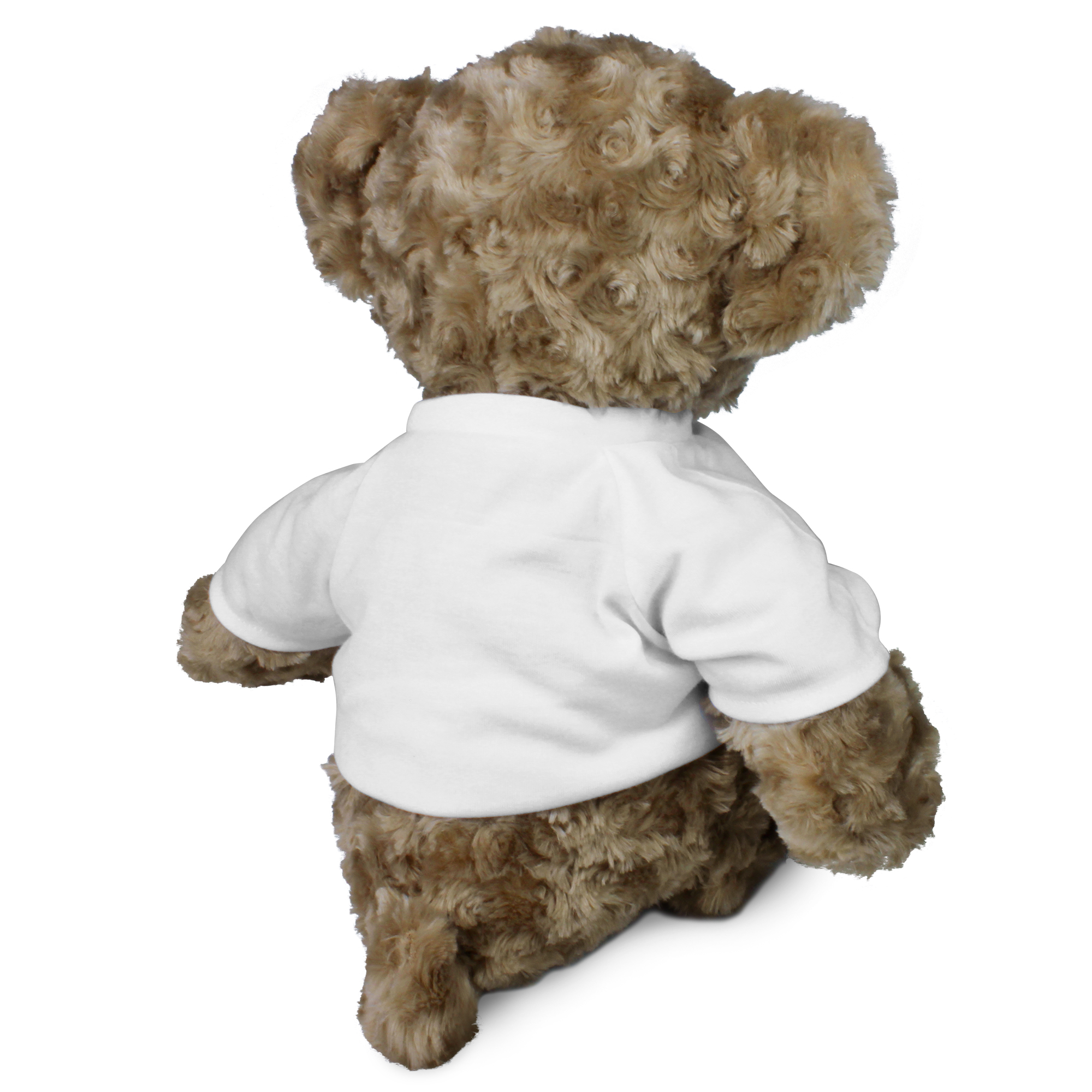 XL Teddy - Standard 2