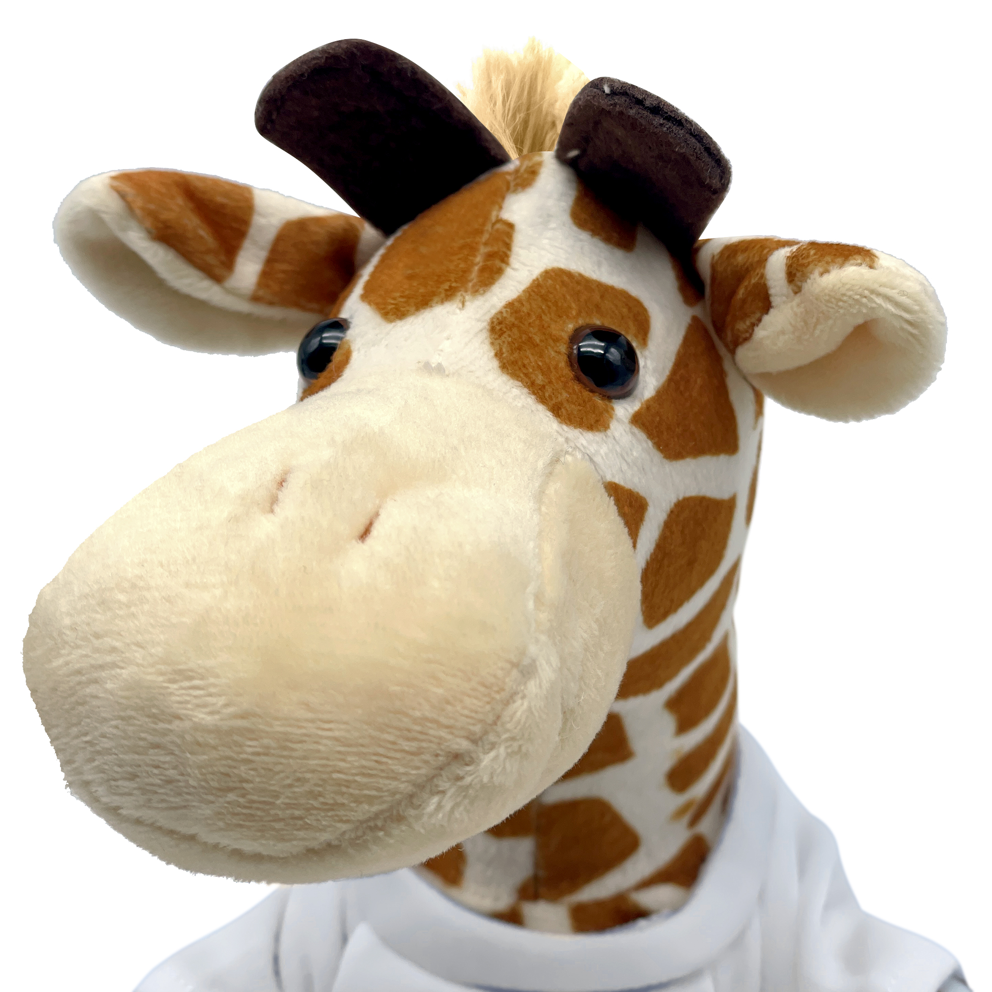 Giraffe - Standard 3