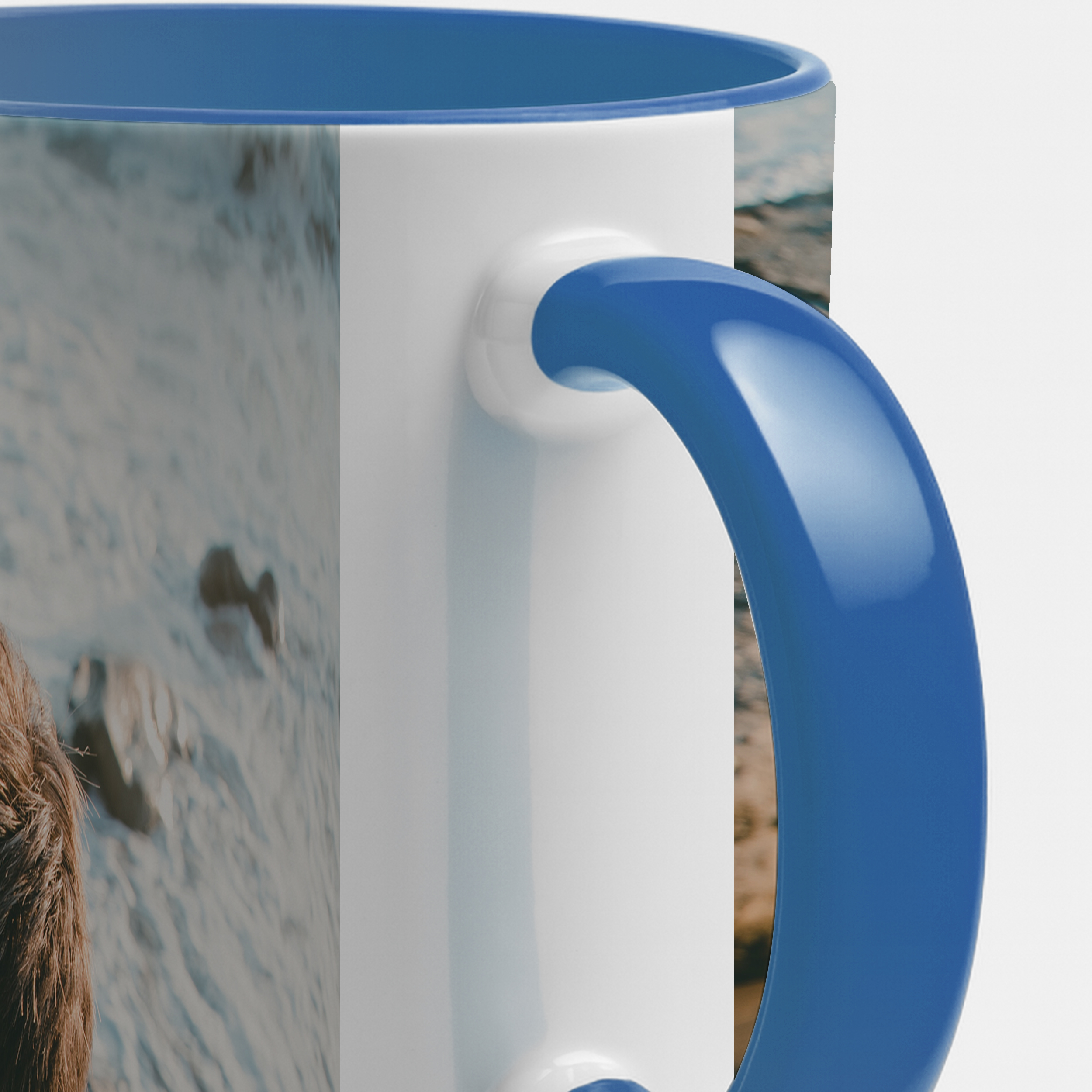 Zweifarbtasse Blau Full-Size 4