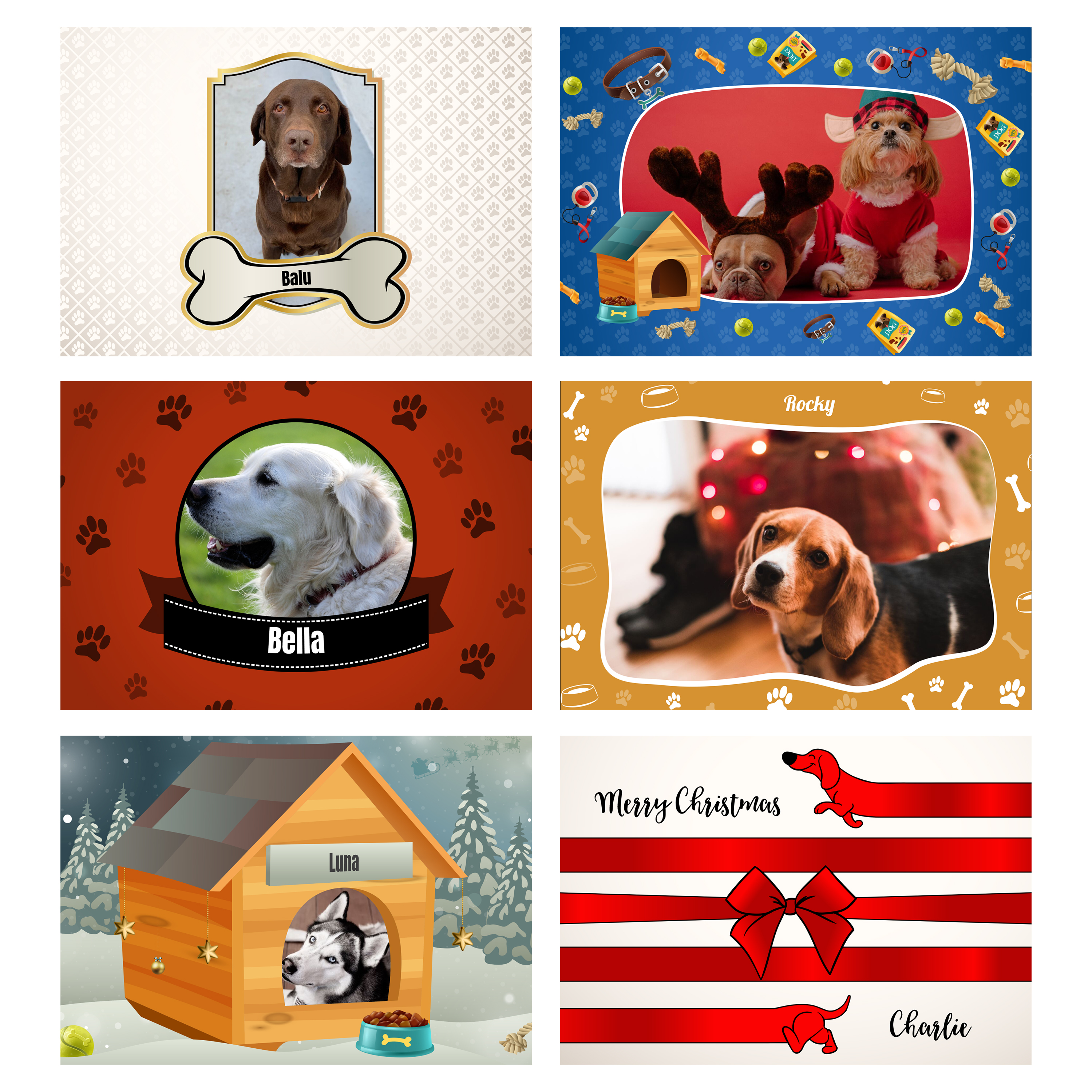 Hunde-Adventskalender - Standard 4