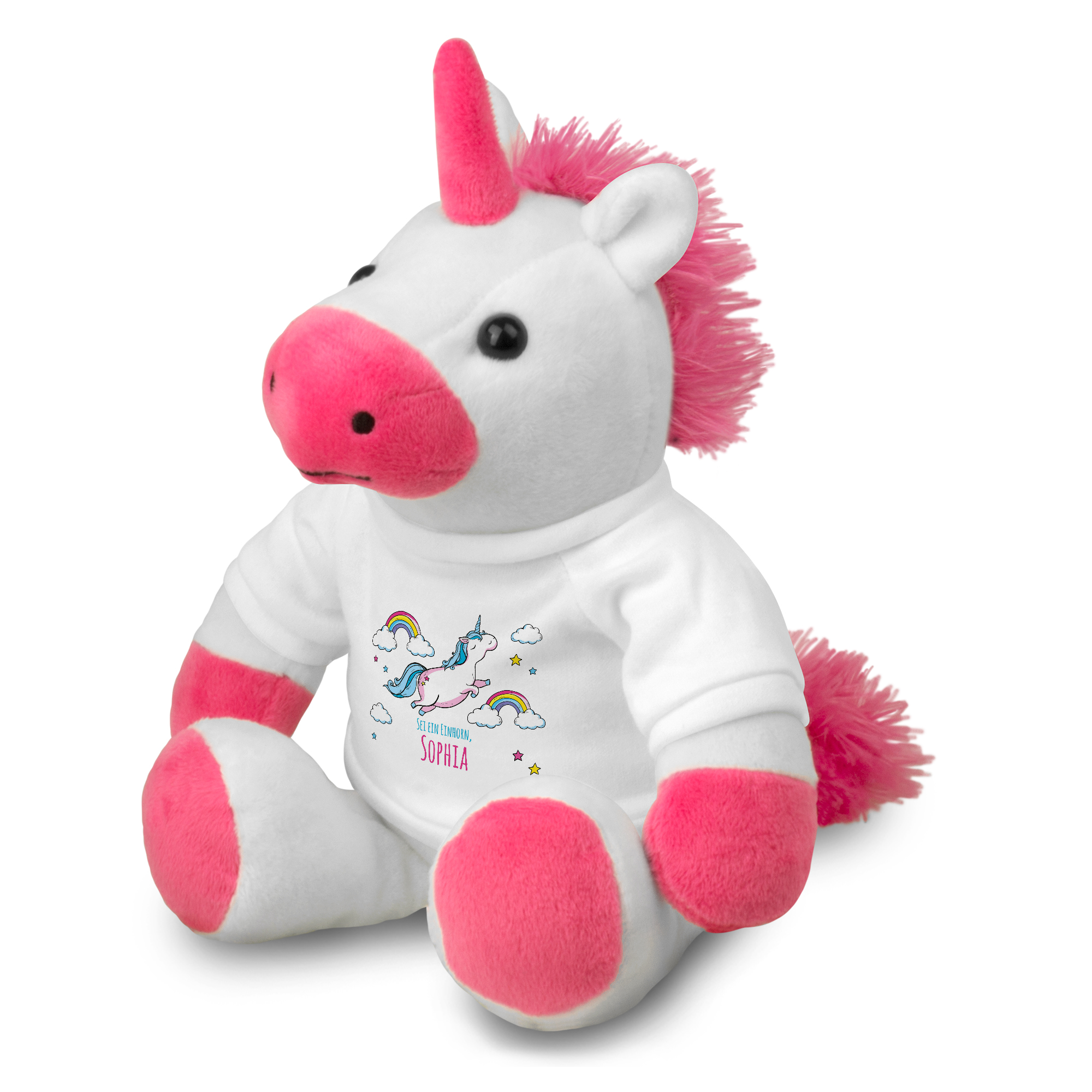 Einhorn - Standard 1