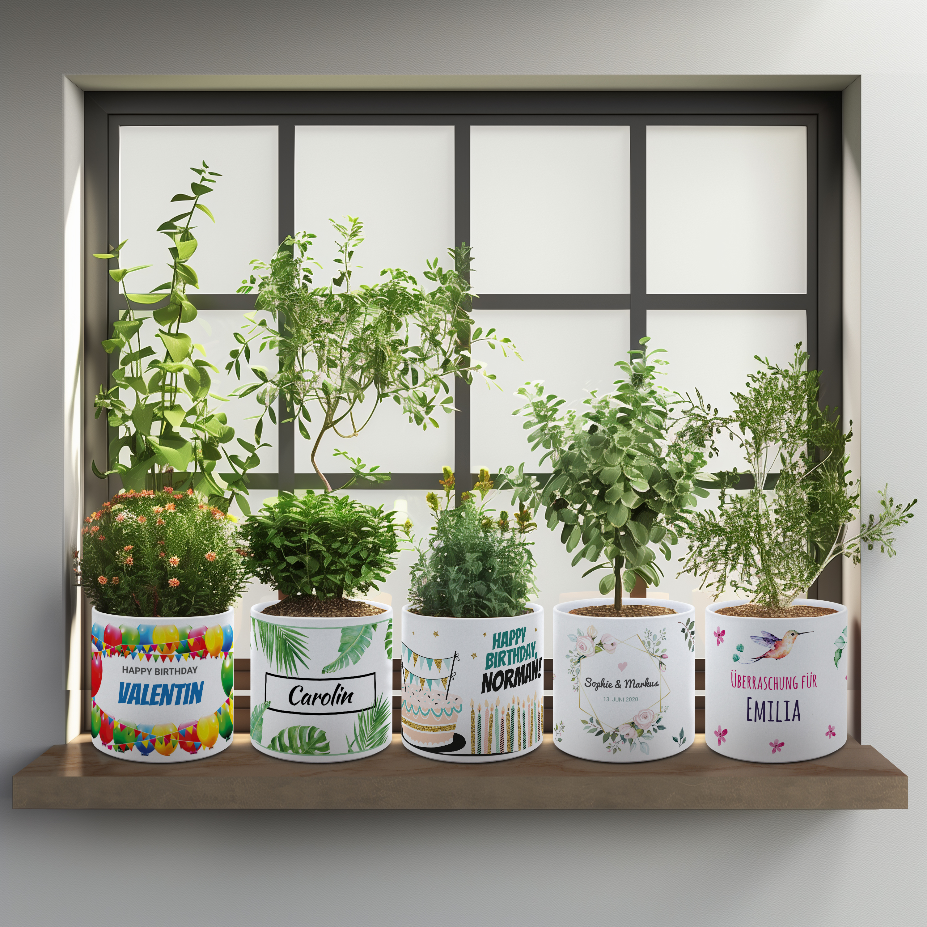 Blumentopf XL - Standard 7