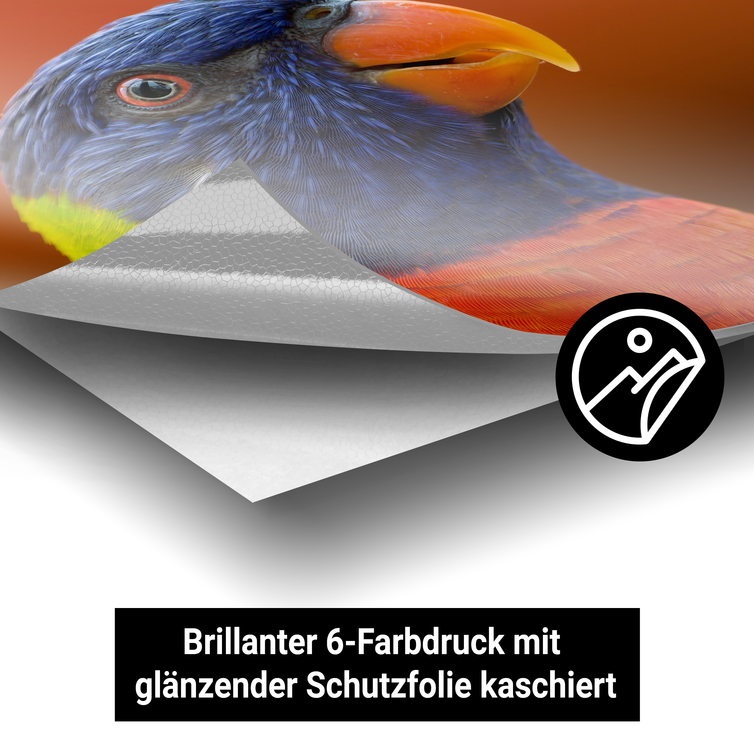 Autoaufkleber - Standard 4