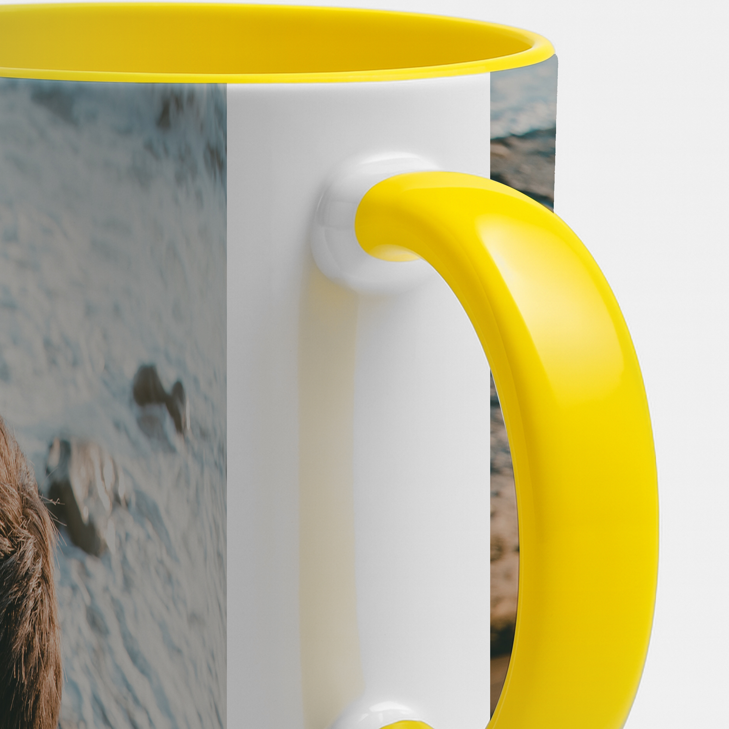 Zweifarbtasse Full-Size Gelb 4