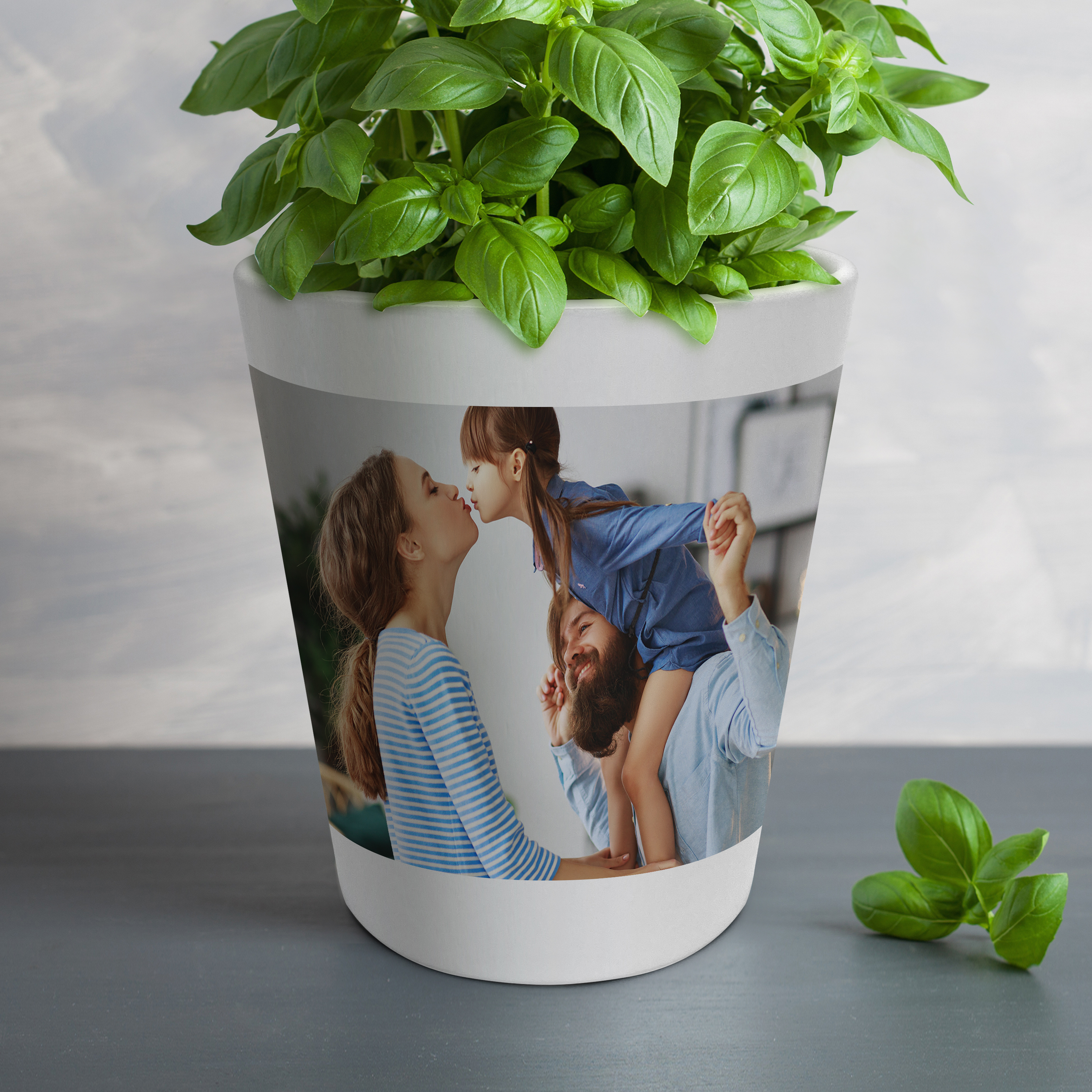 Kräutertopf - Standard 6