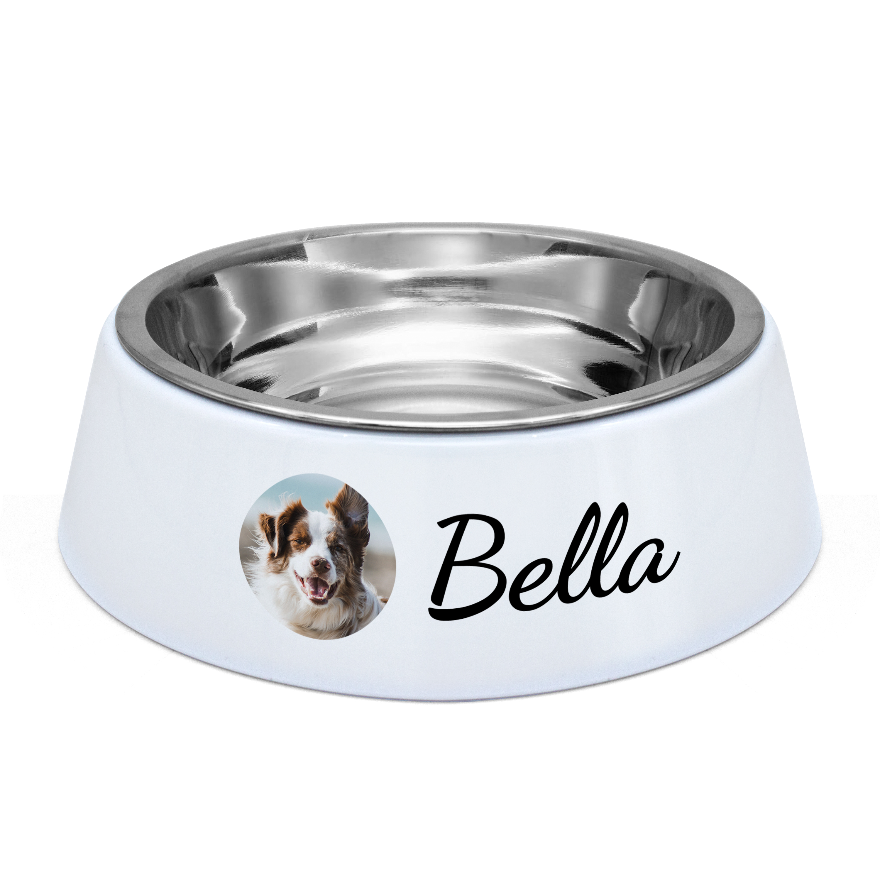 Hundenapf - Standard 1