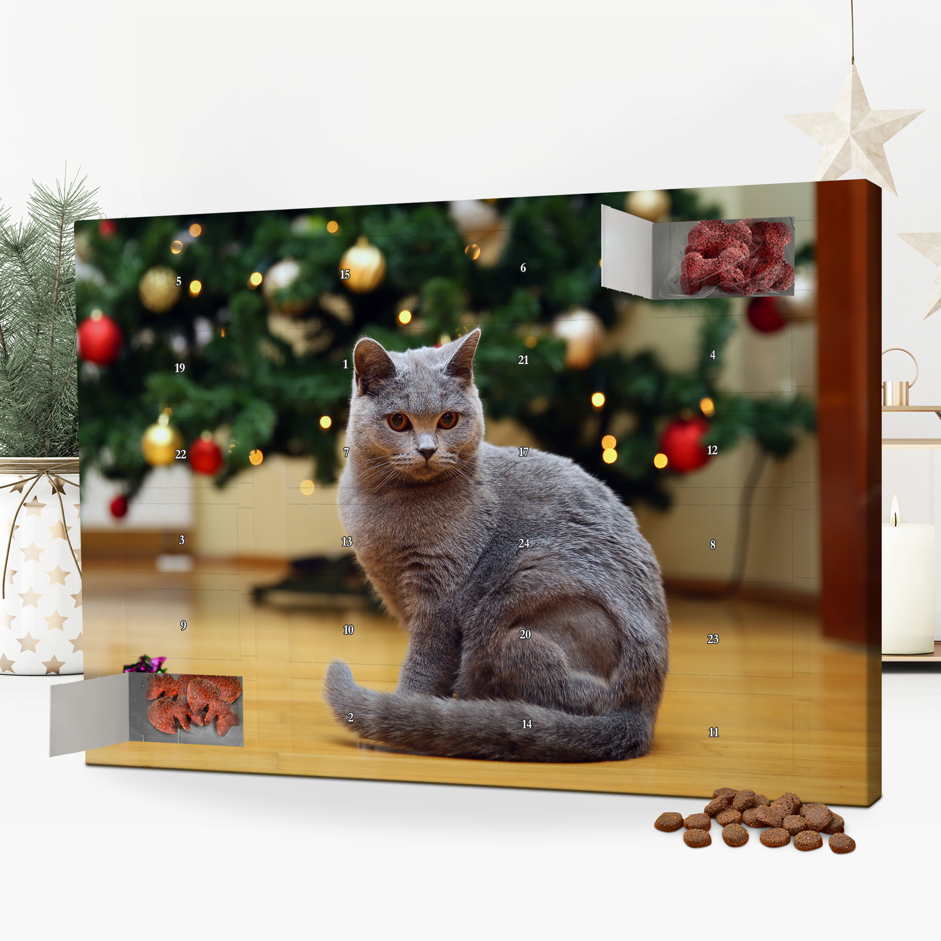 Katzen-Adventskalender - Standard 5