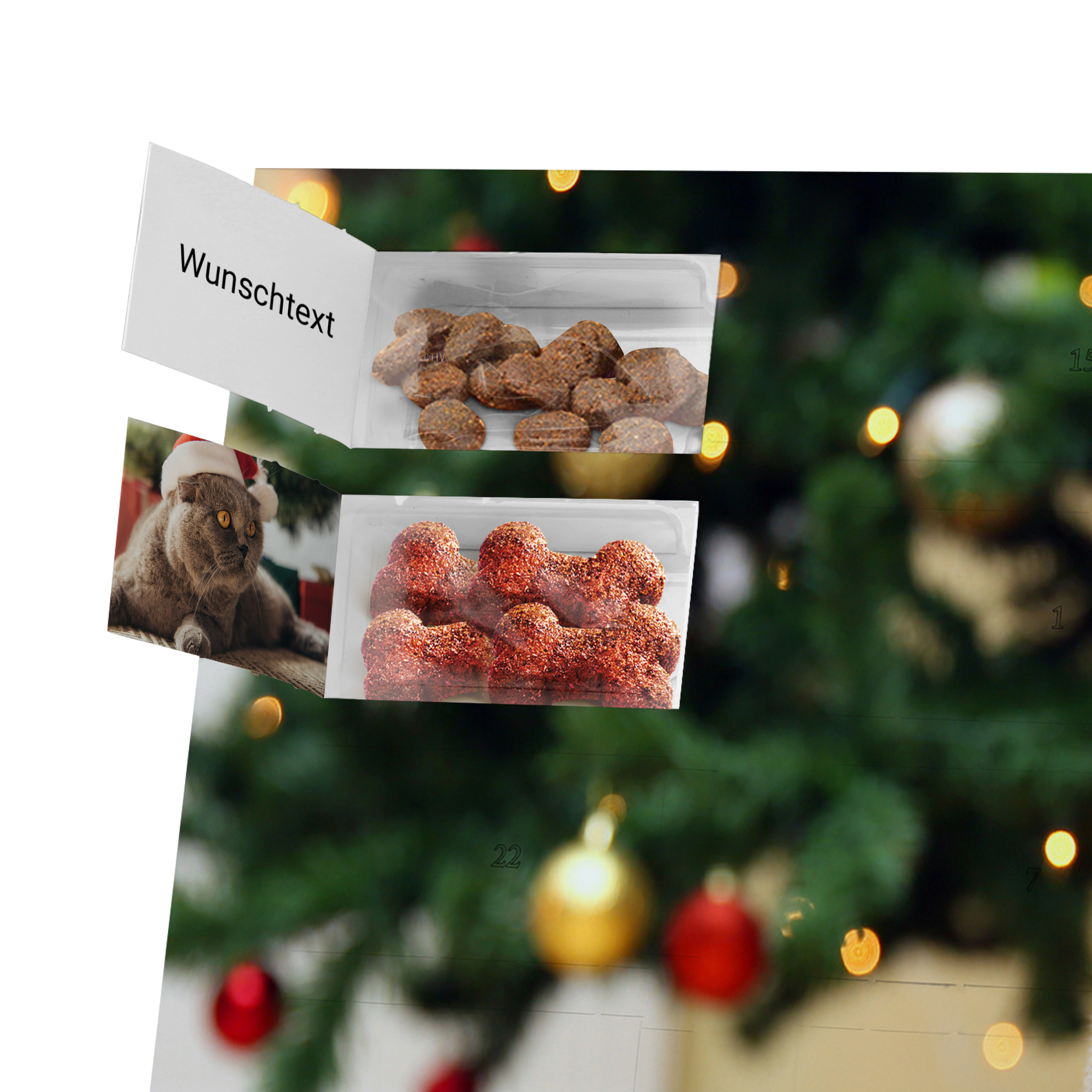 Katzen-Adventskalender - Standard 2