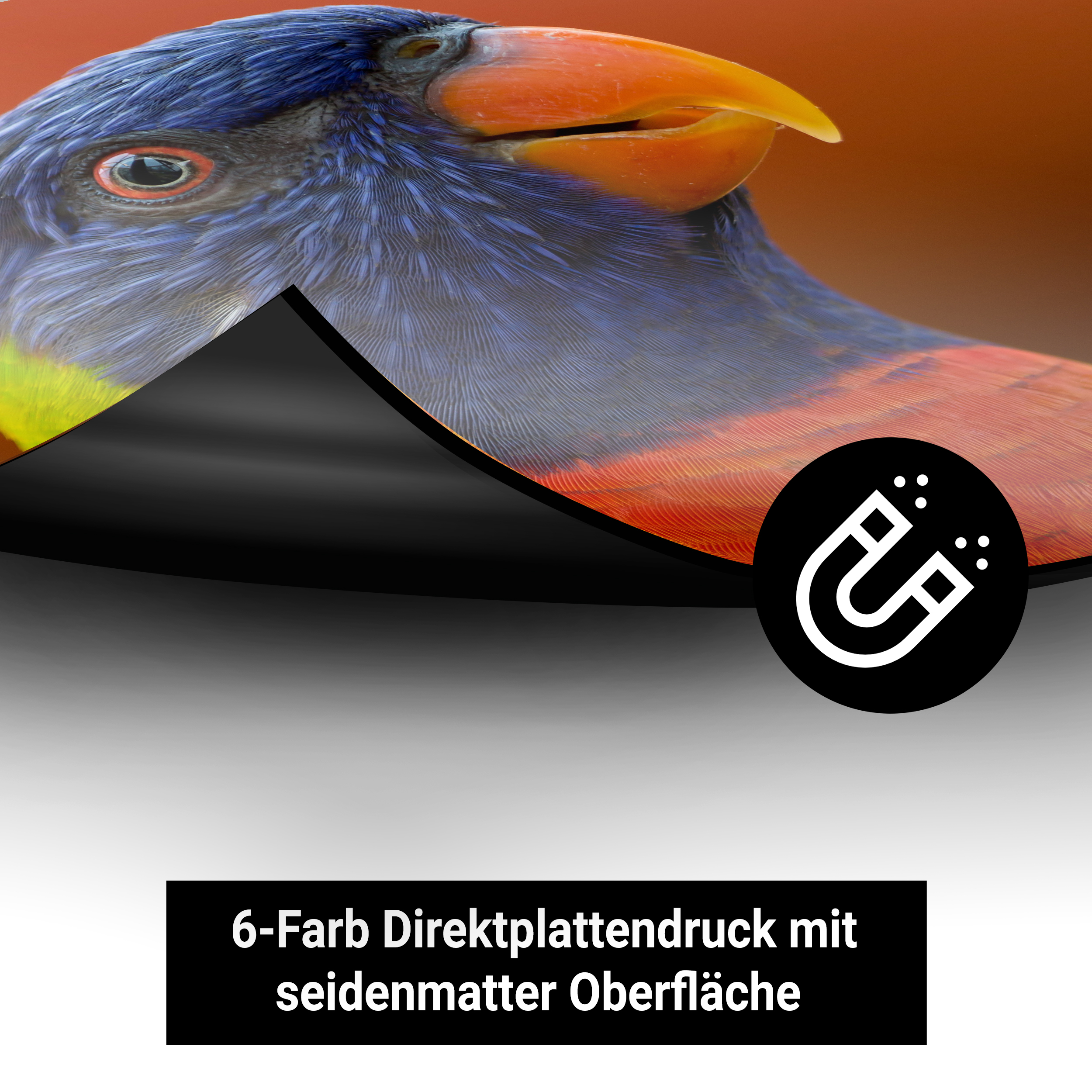 Auto-Magnetschilder - Standard 4