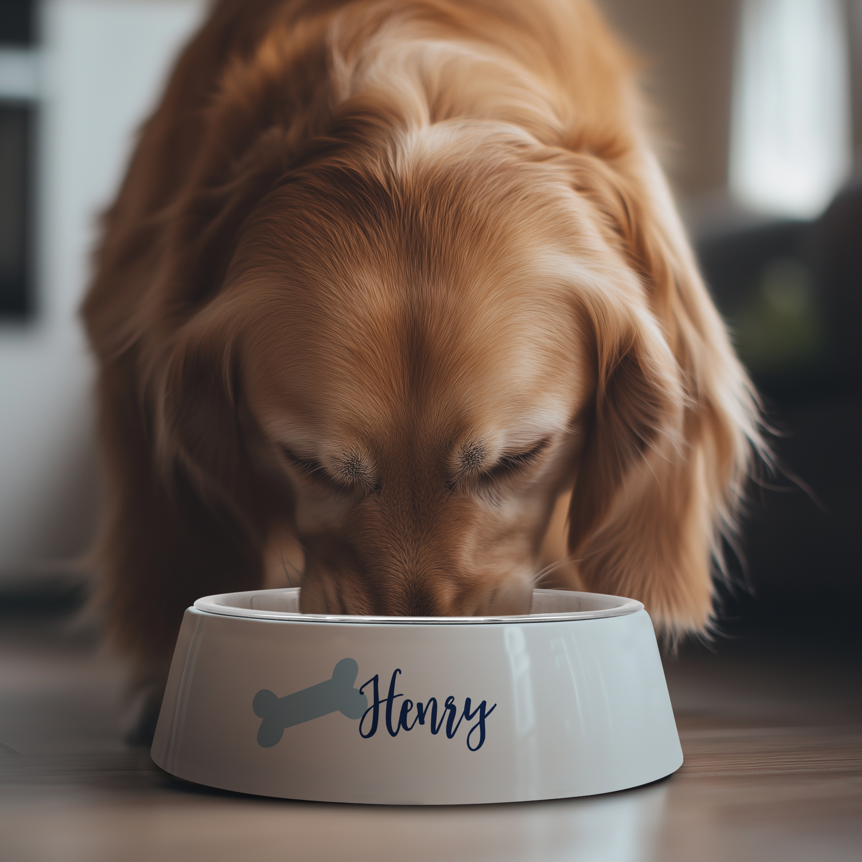 Hundenapf - Standard 6