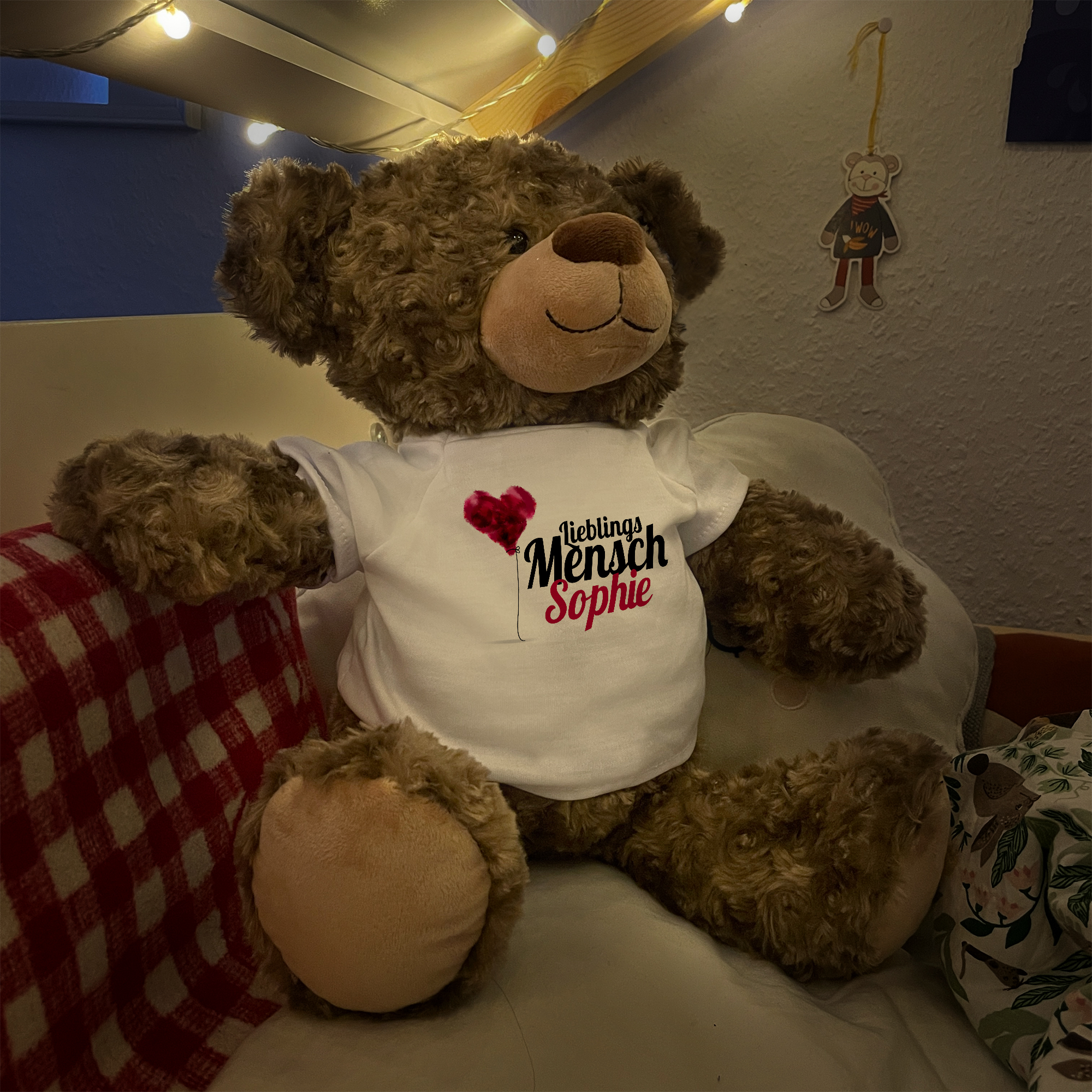 XL Teddy - Standard 7