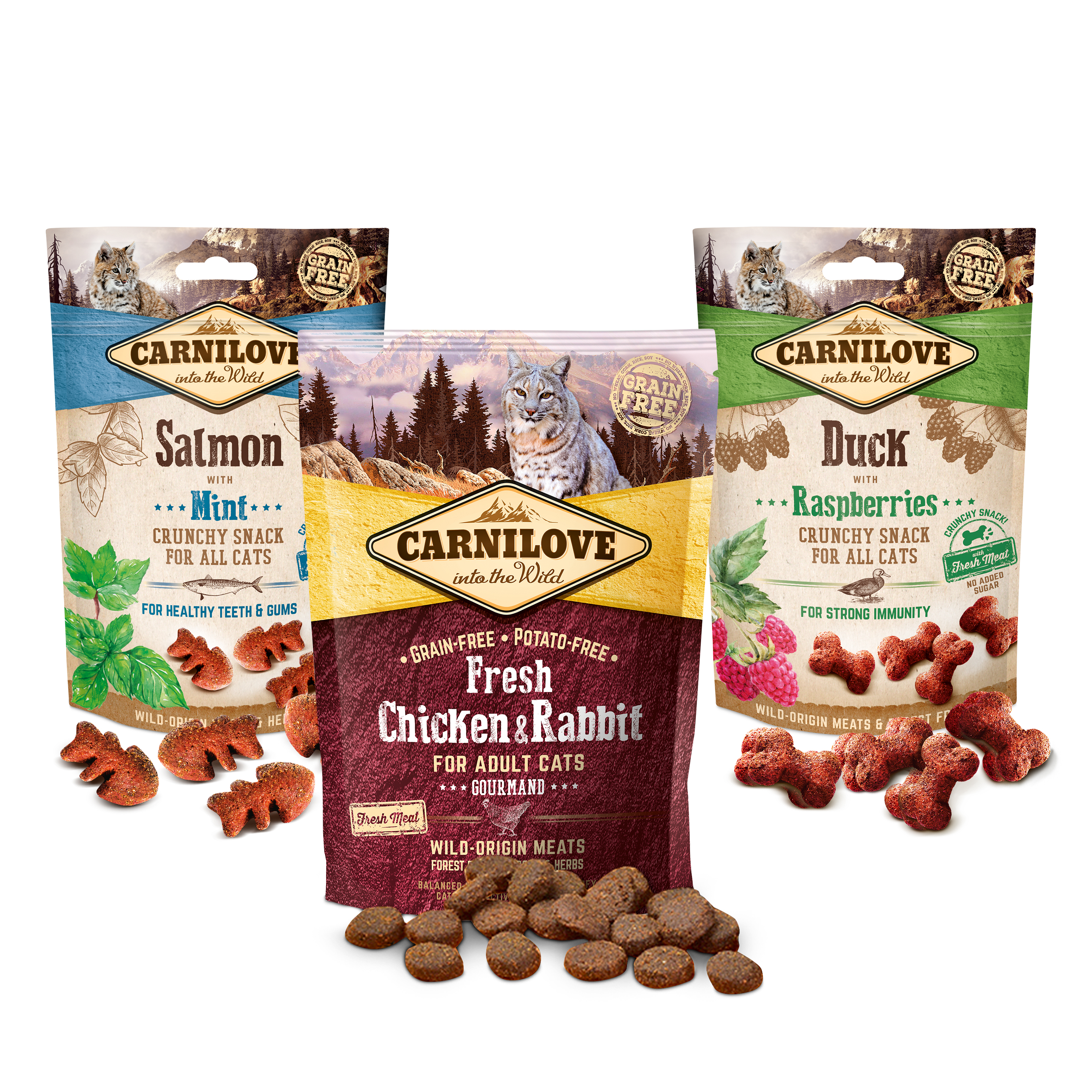 Katzen-Adventskalender - Standard 4