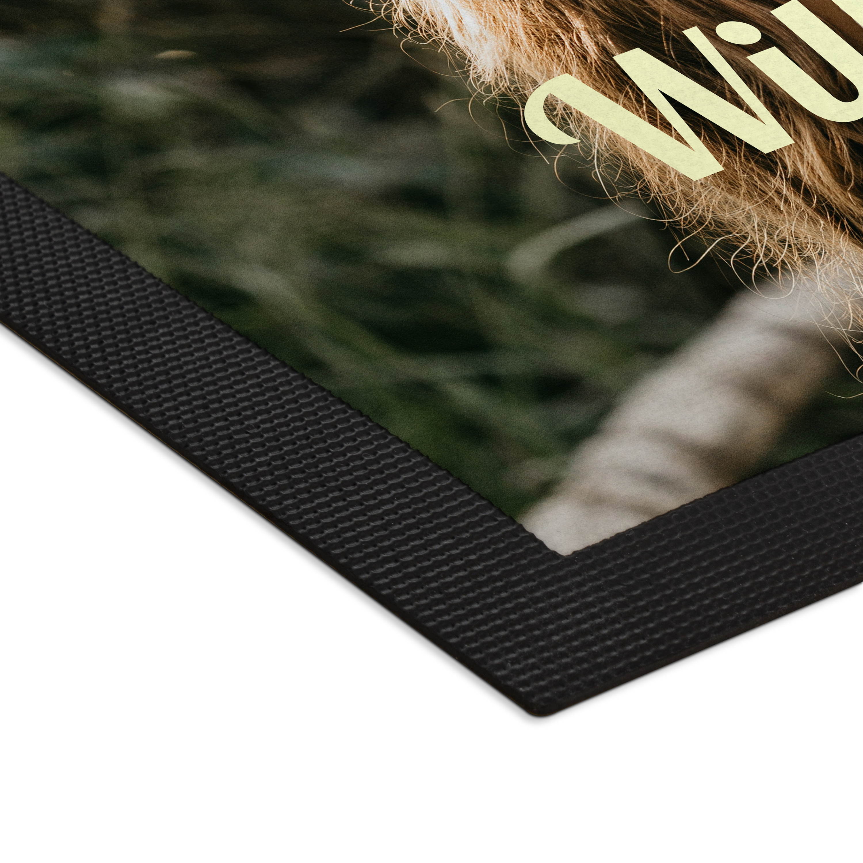 Fußmatte 60 cm x 40 cm 3