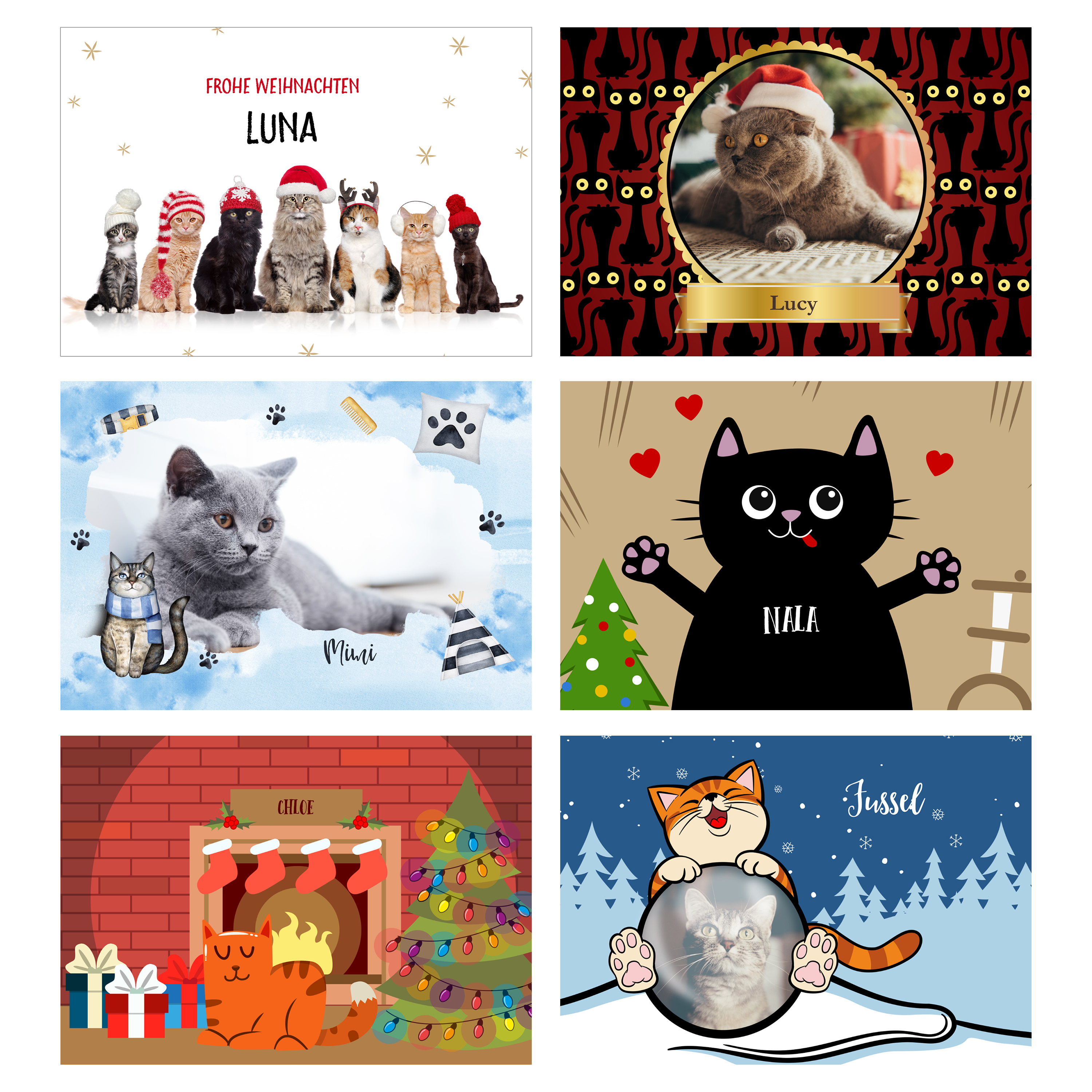 Katzen-Adventskalender - Standard 3