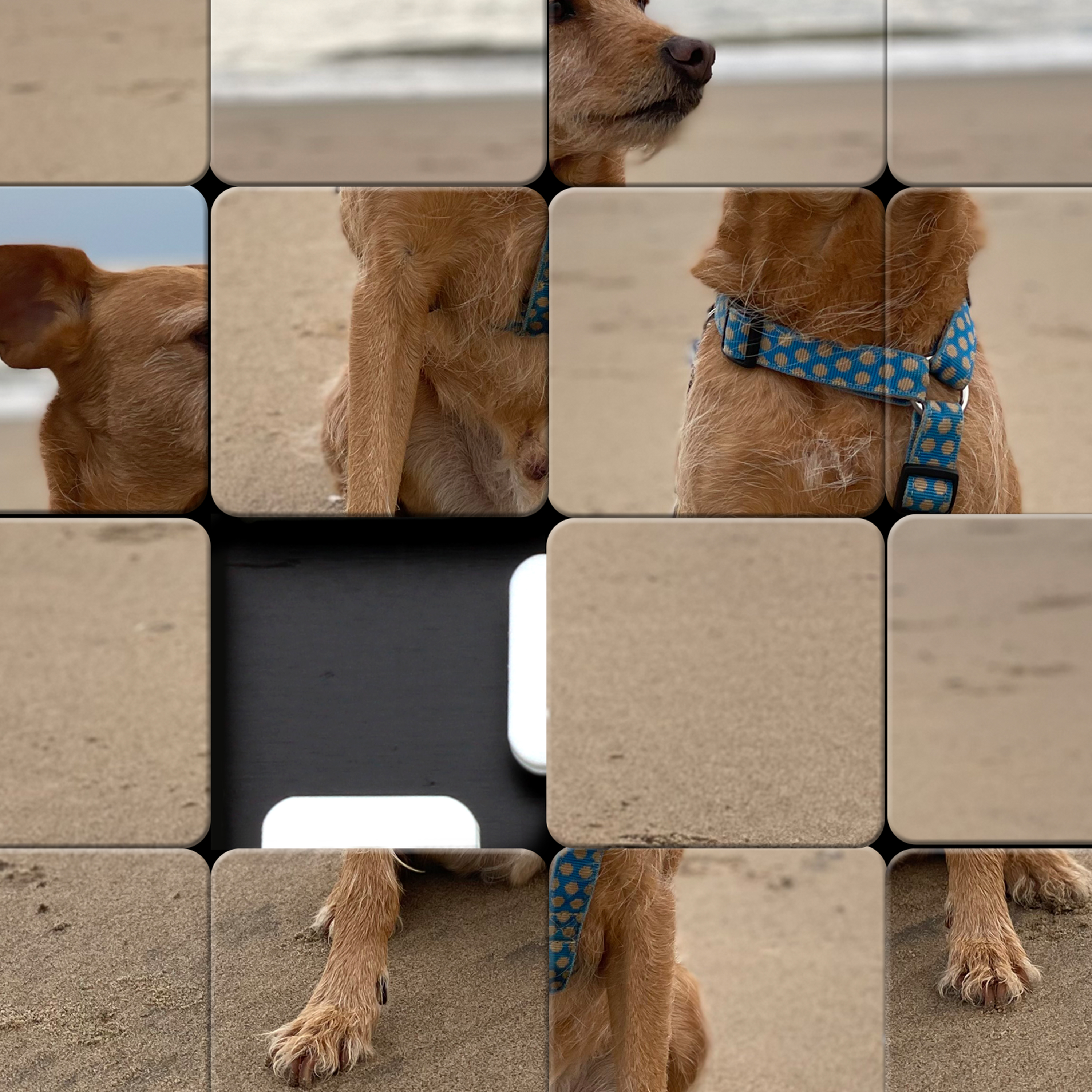 Schiebepuzzle Basic - 7,5 x 7,5 cm (15 Teile) 4