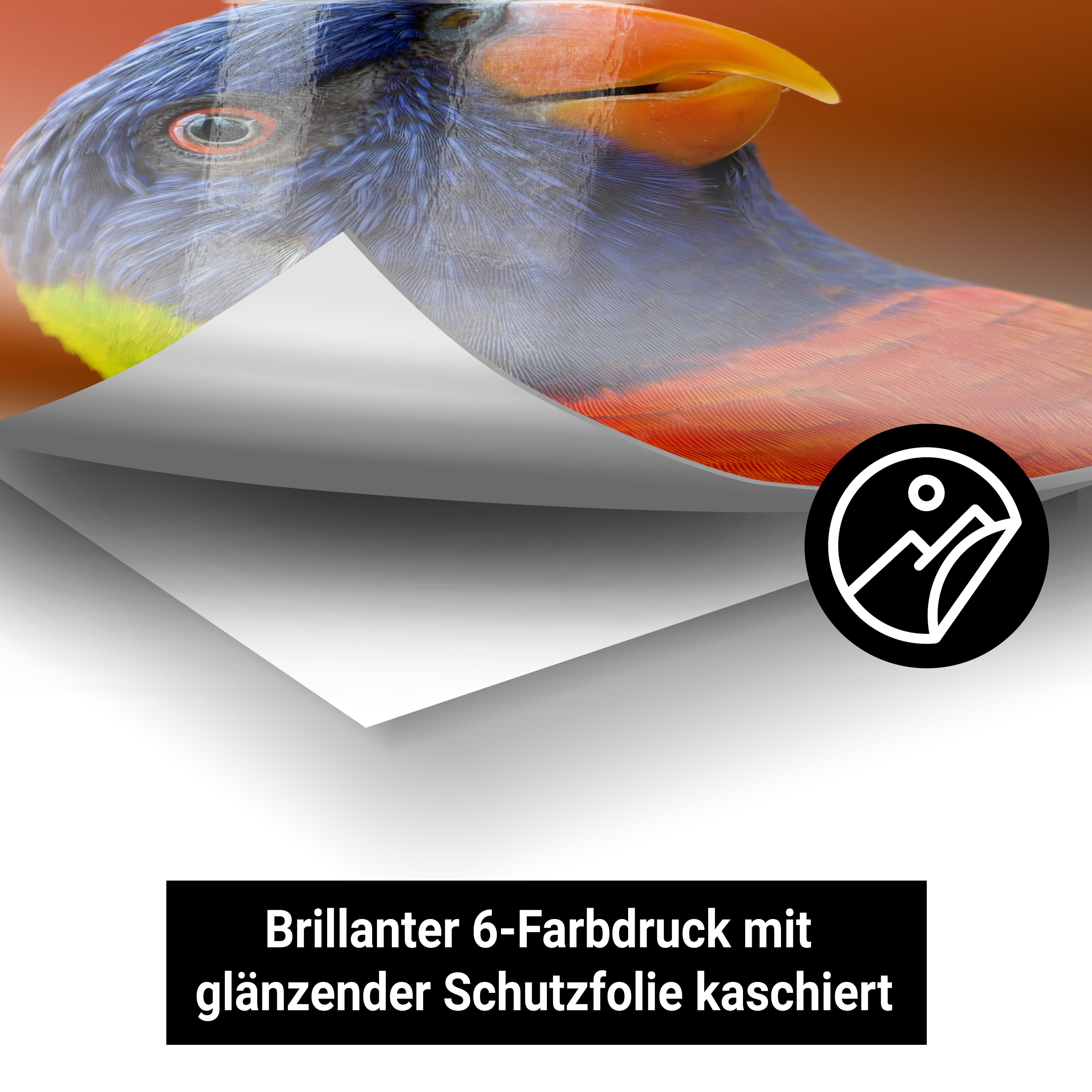 Autoaufkleber - Standard 4